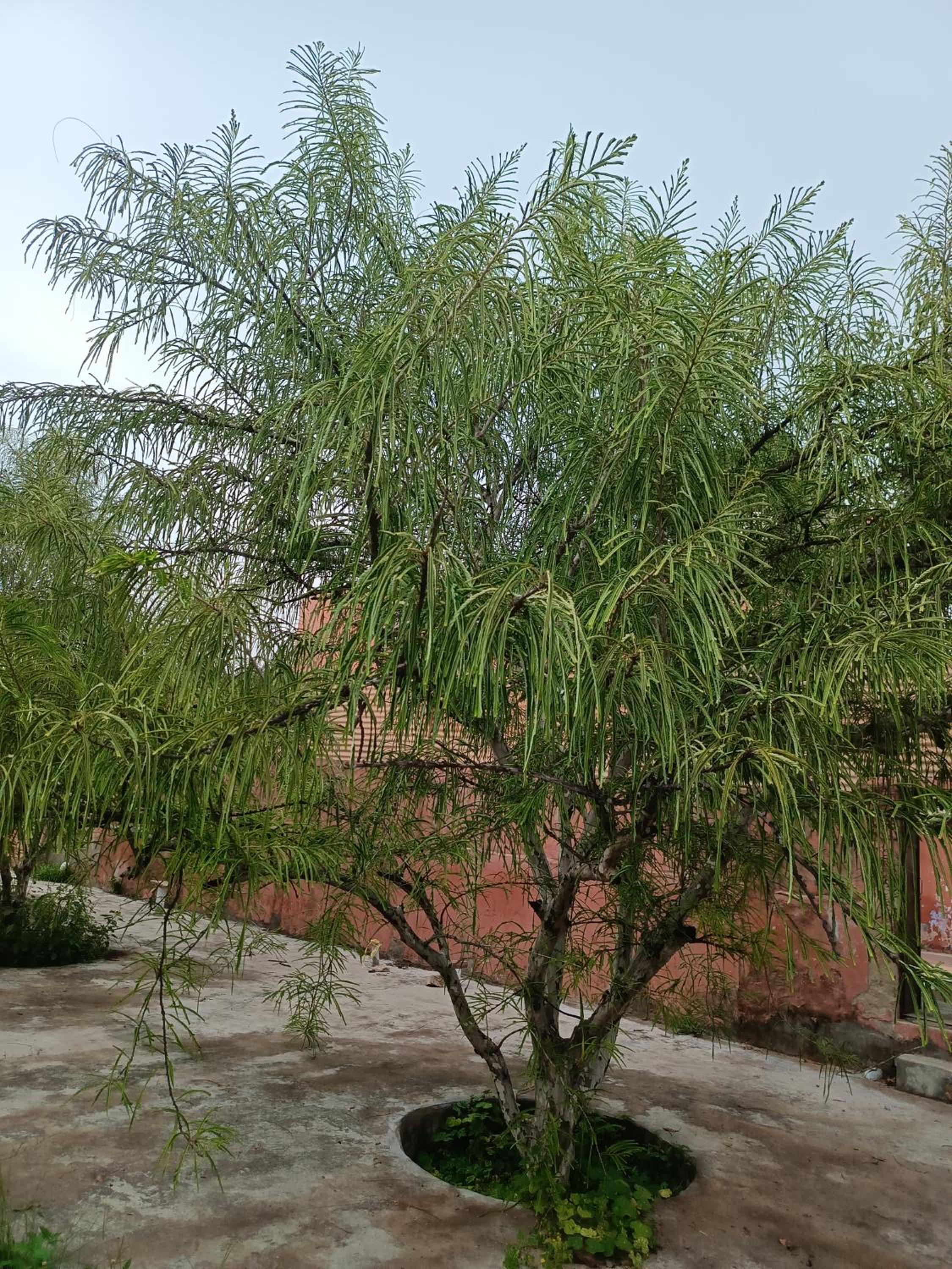 Photo 23