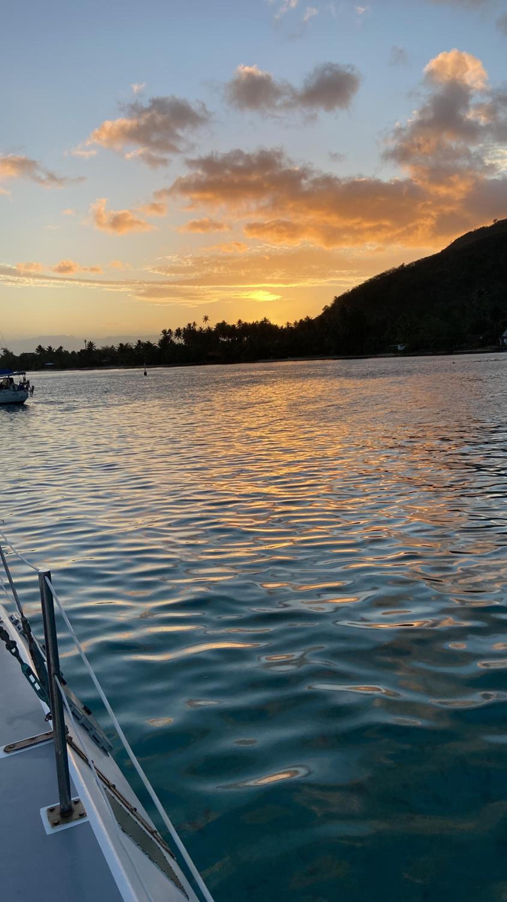 Catamaran AMAYA