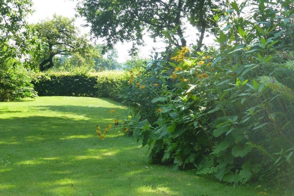 Ferienhäuser Ohlenbusch