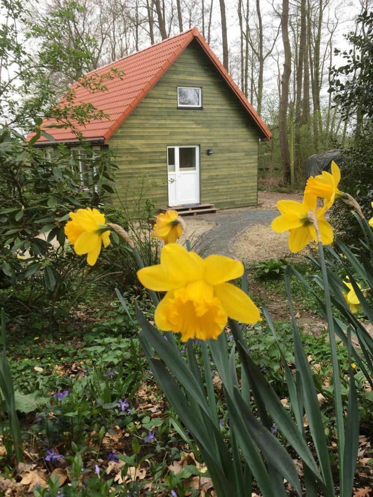 Ferienhäuser Ohlenbusch