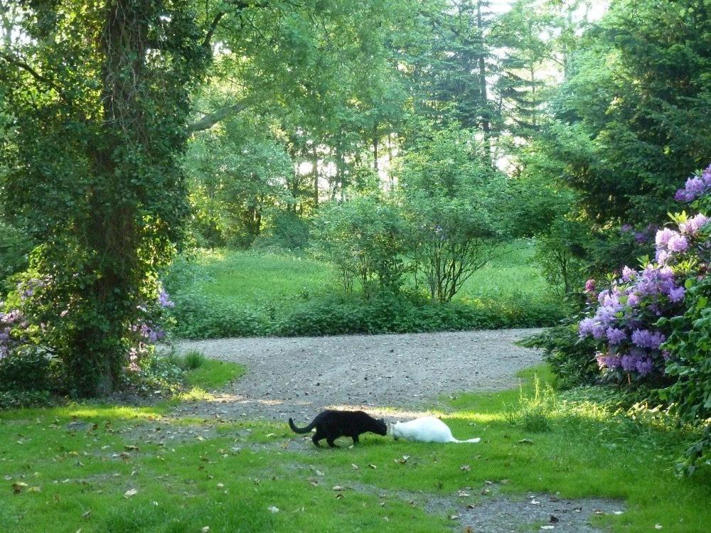 Ferienhäuser Ohlenbusch