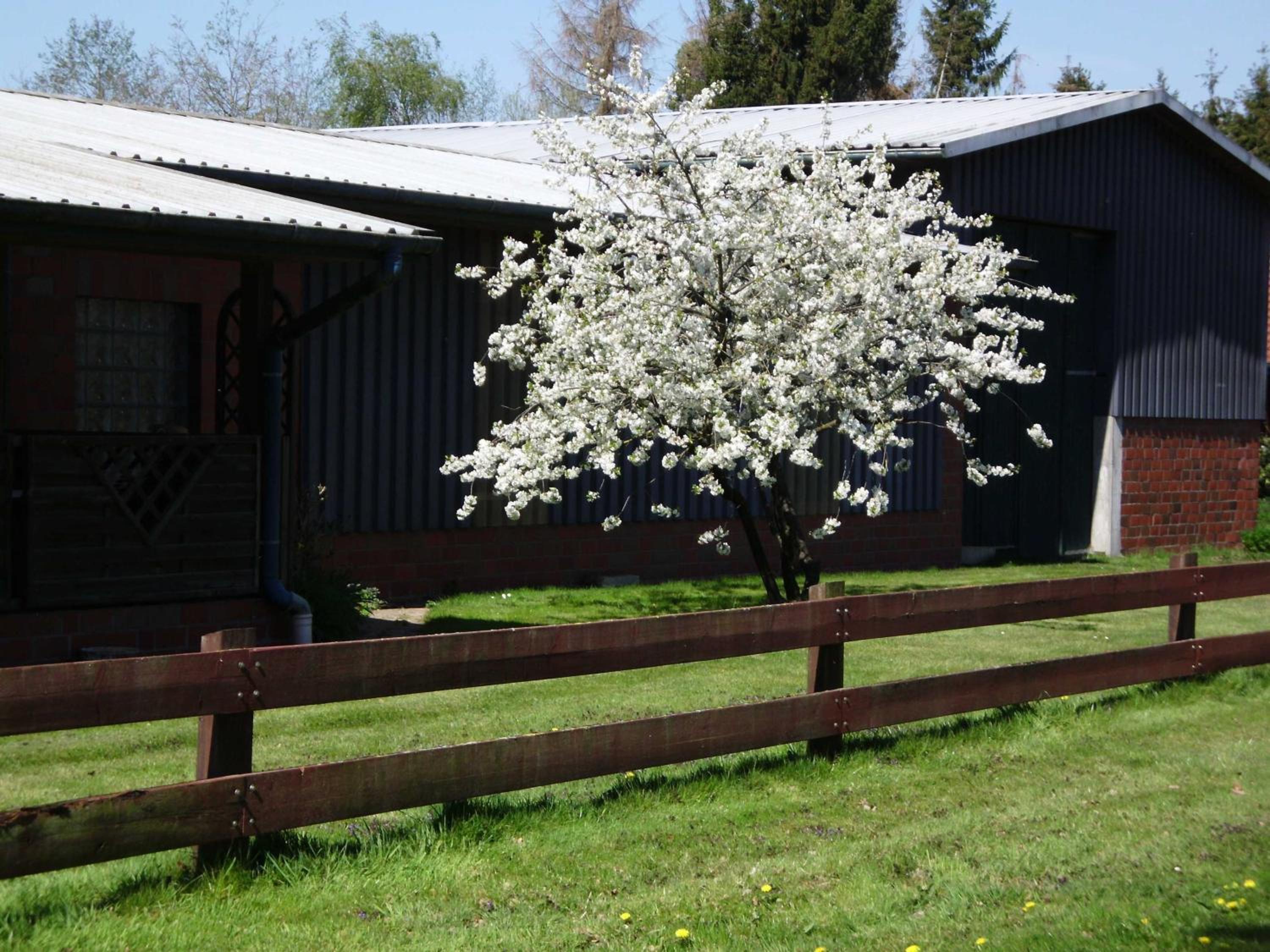 Ferienwohnung Verdenhalven