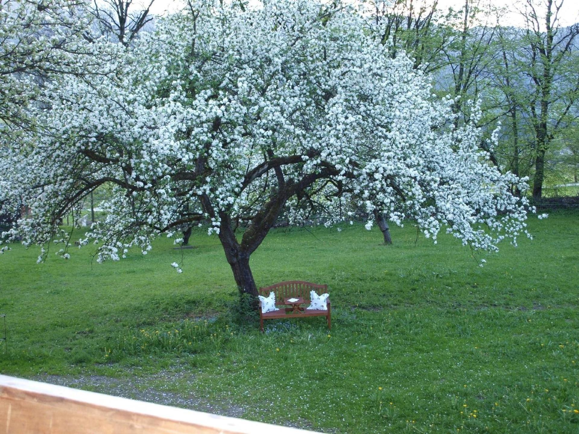 Haus Der Natur
