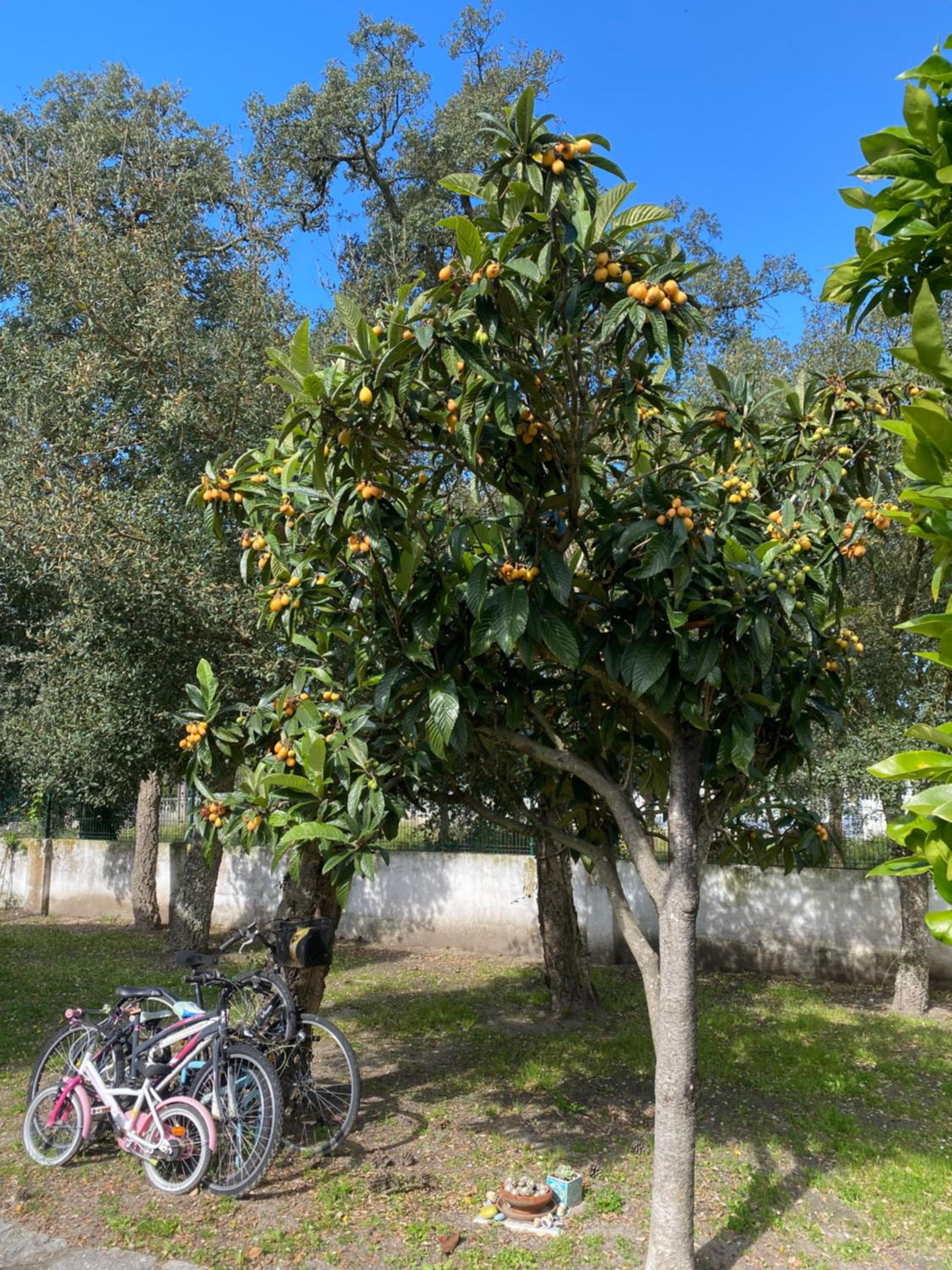A Casa da Carrasqueira, Sesimbra