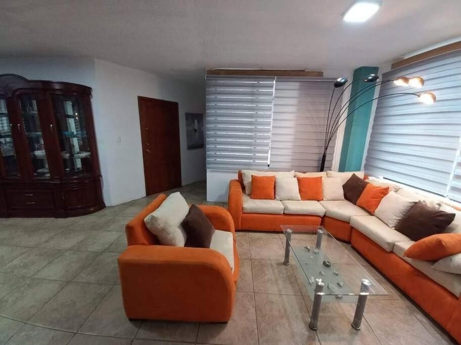 The Family House