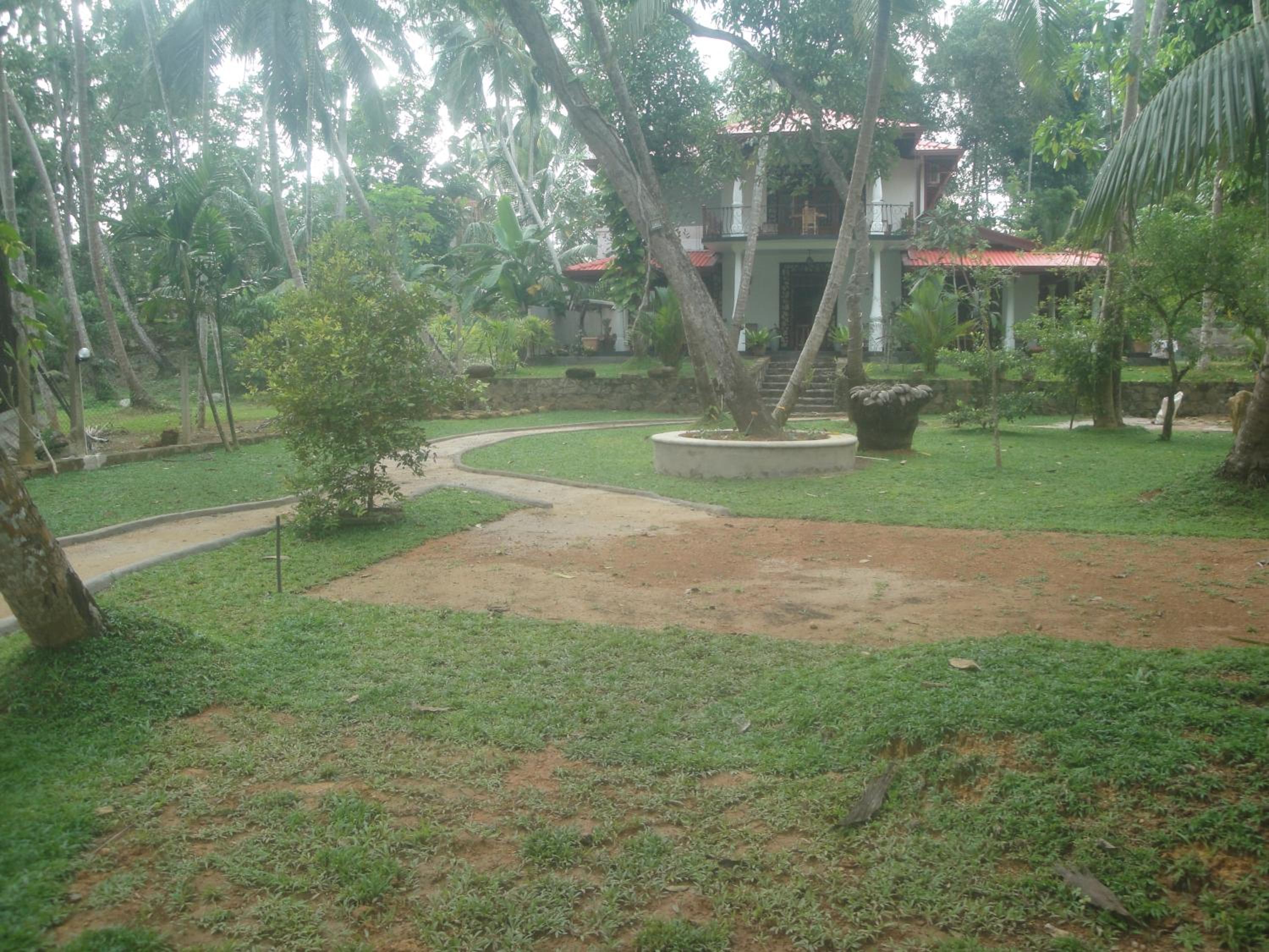 Photo 37