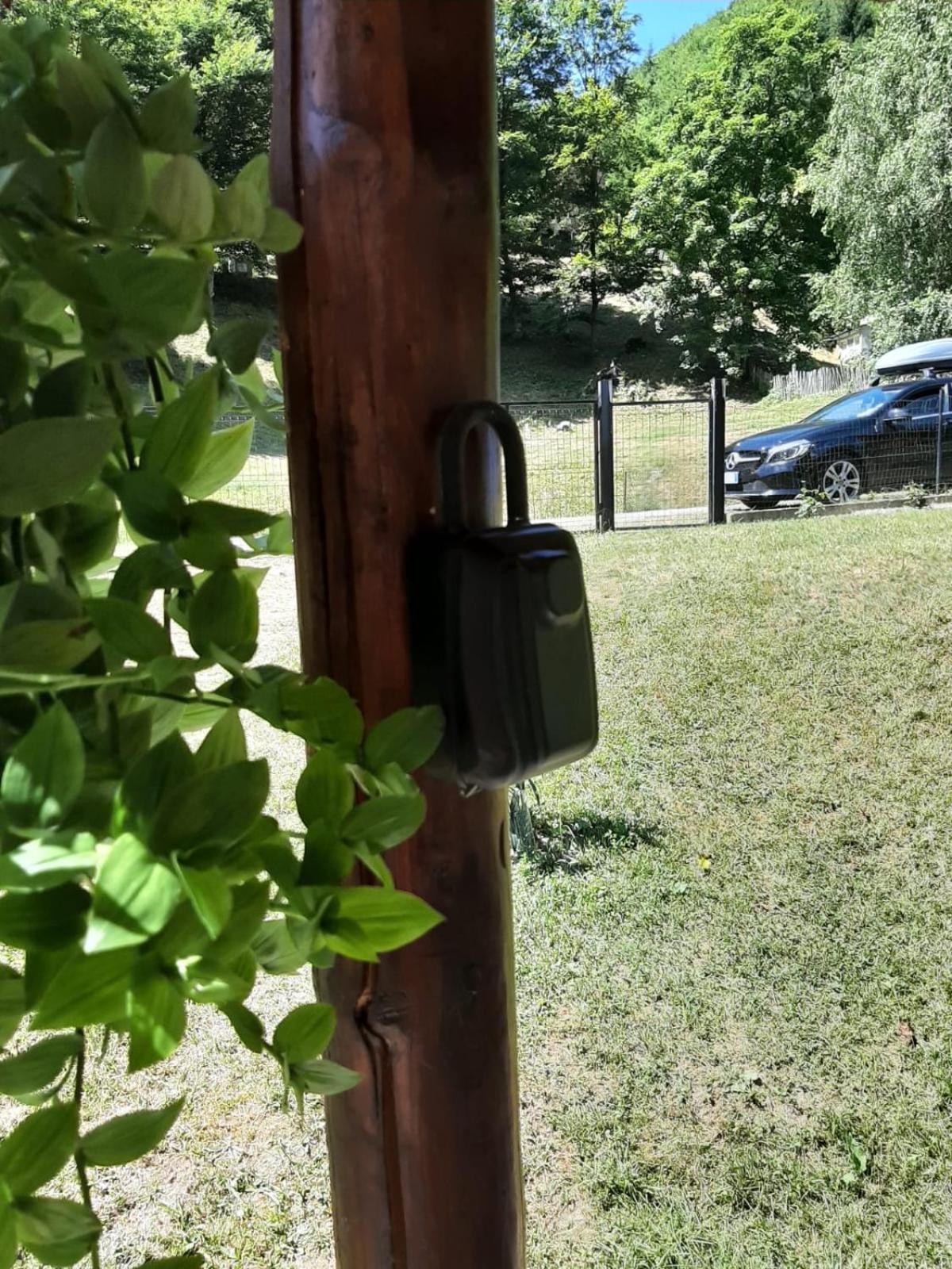 Cabana lui Foardă view 3