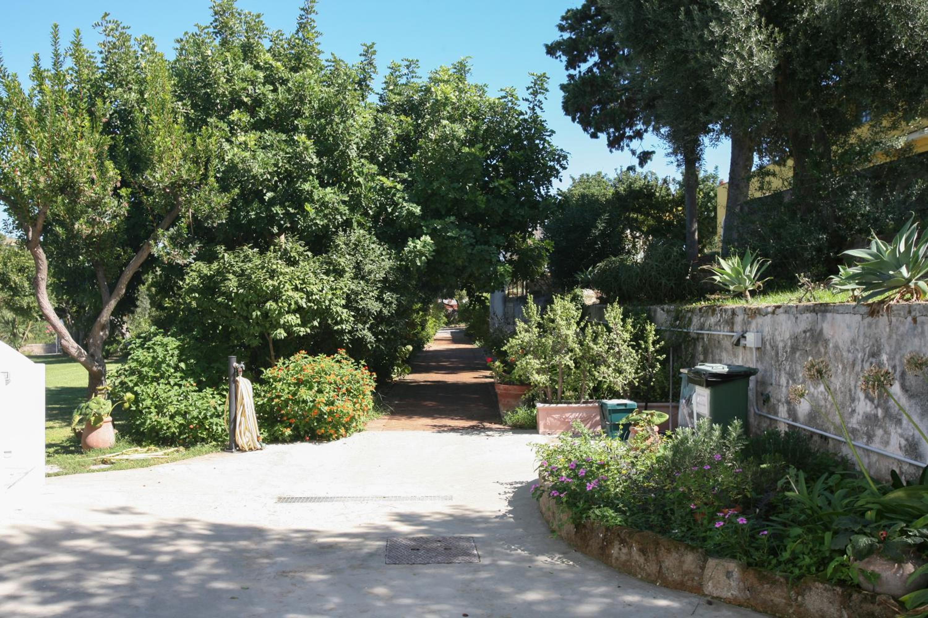 Il Carrubo