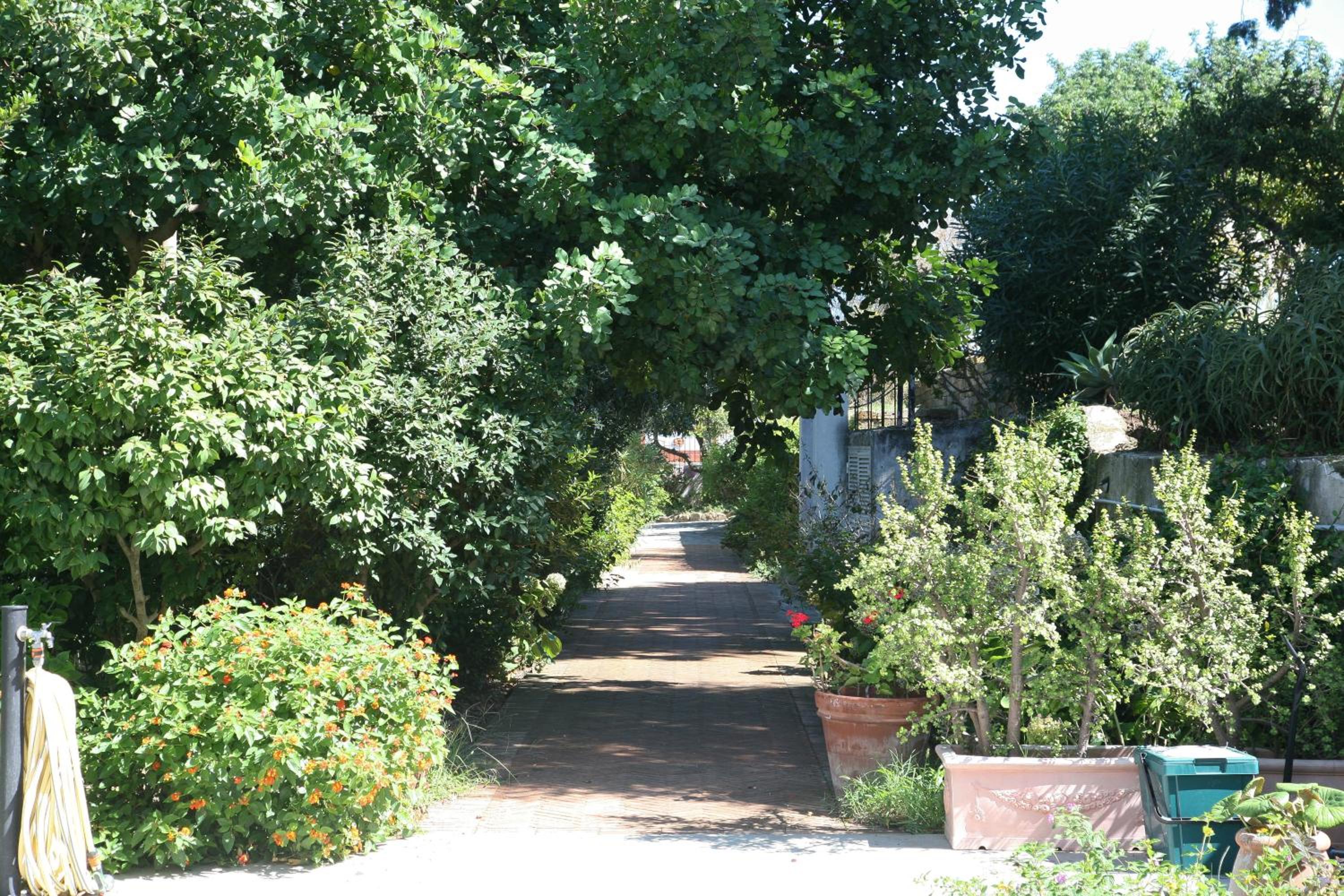 Il Carrubo