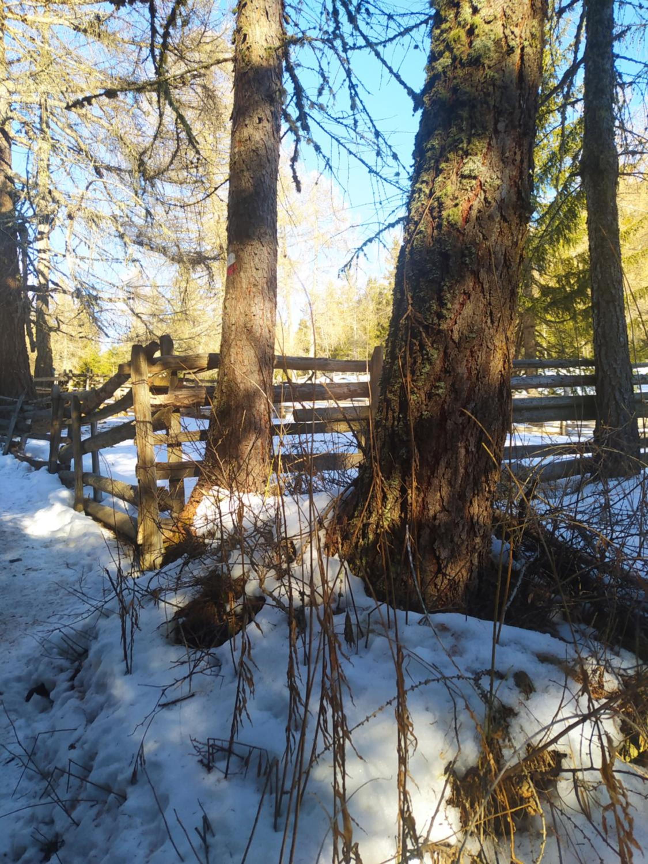 Photo 43