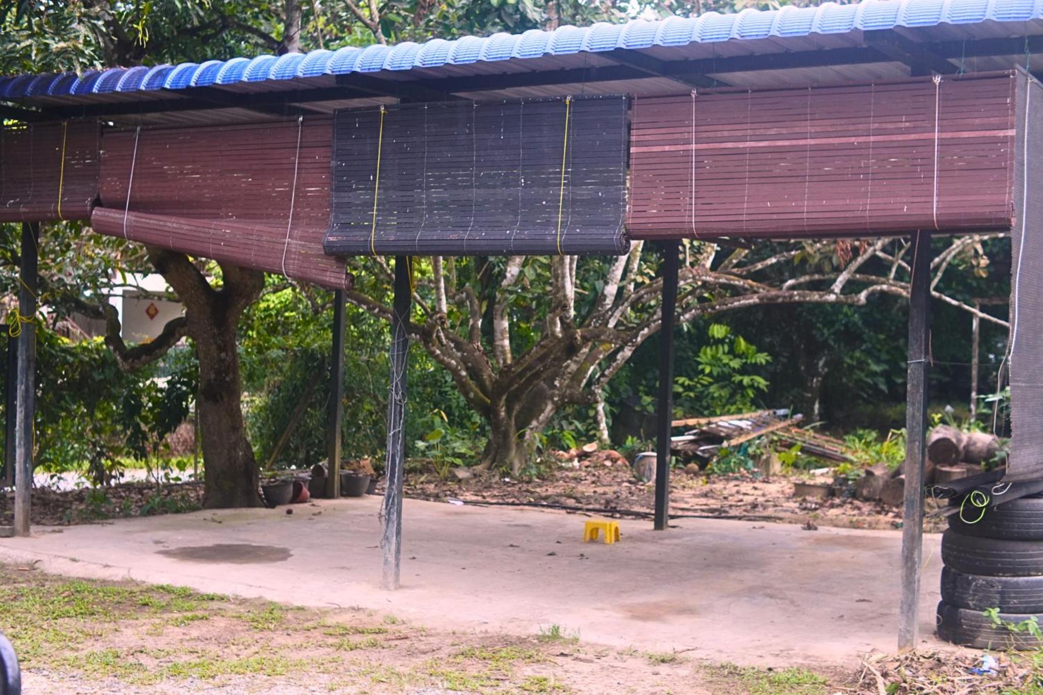 Kiansom Homestay - Waterfall etc