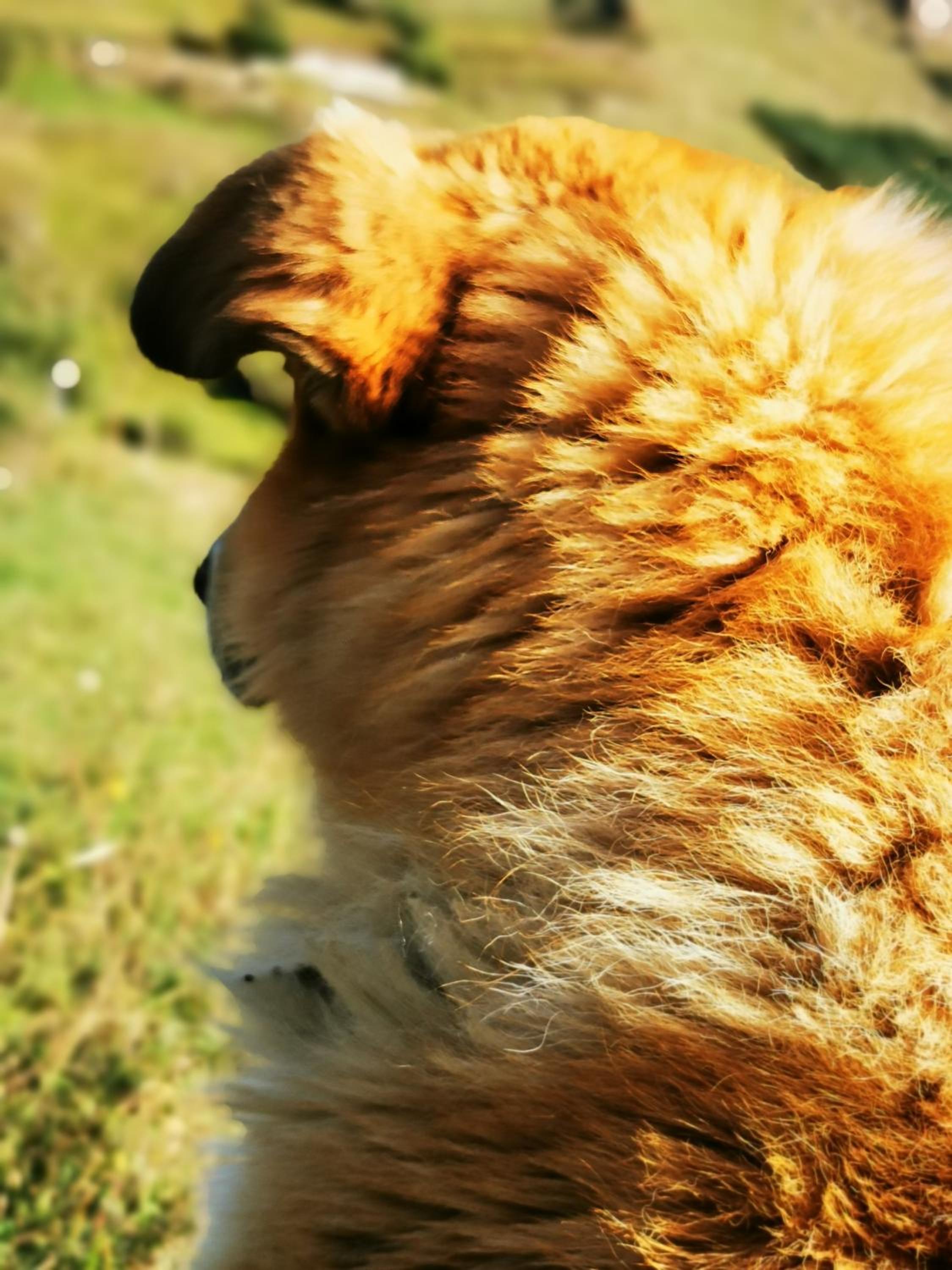 Photo 49