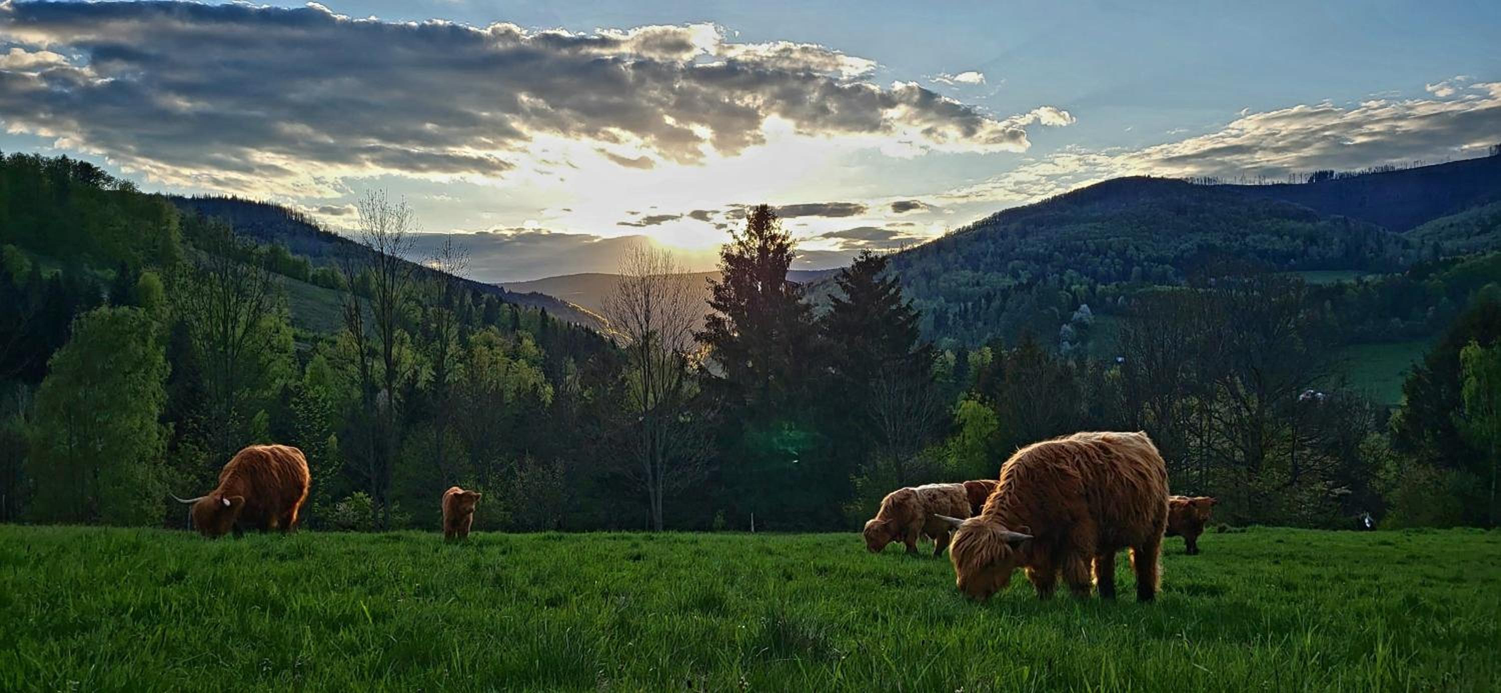Apartmán v Beskydech