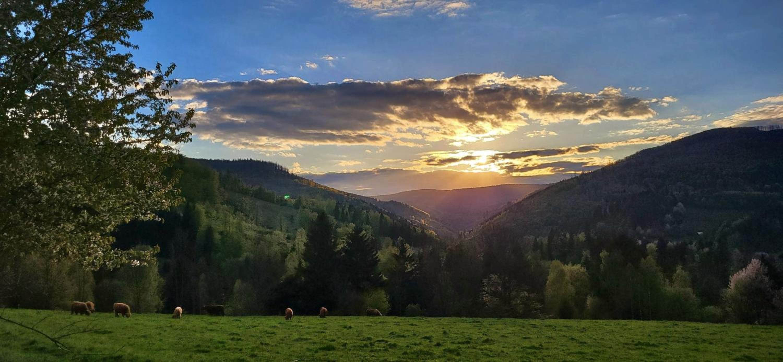 Apartmán v Beskydech