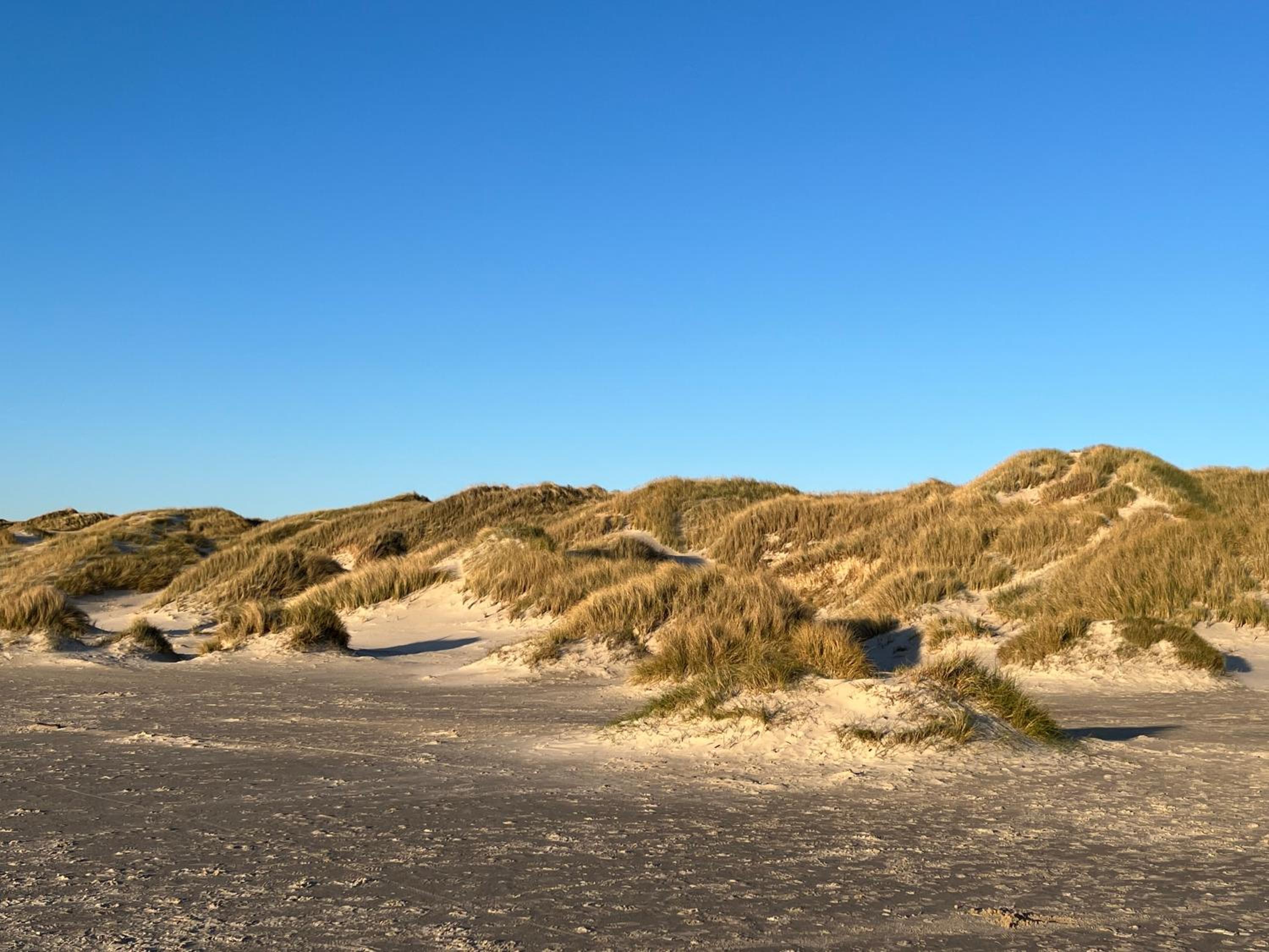 Huset ved havet