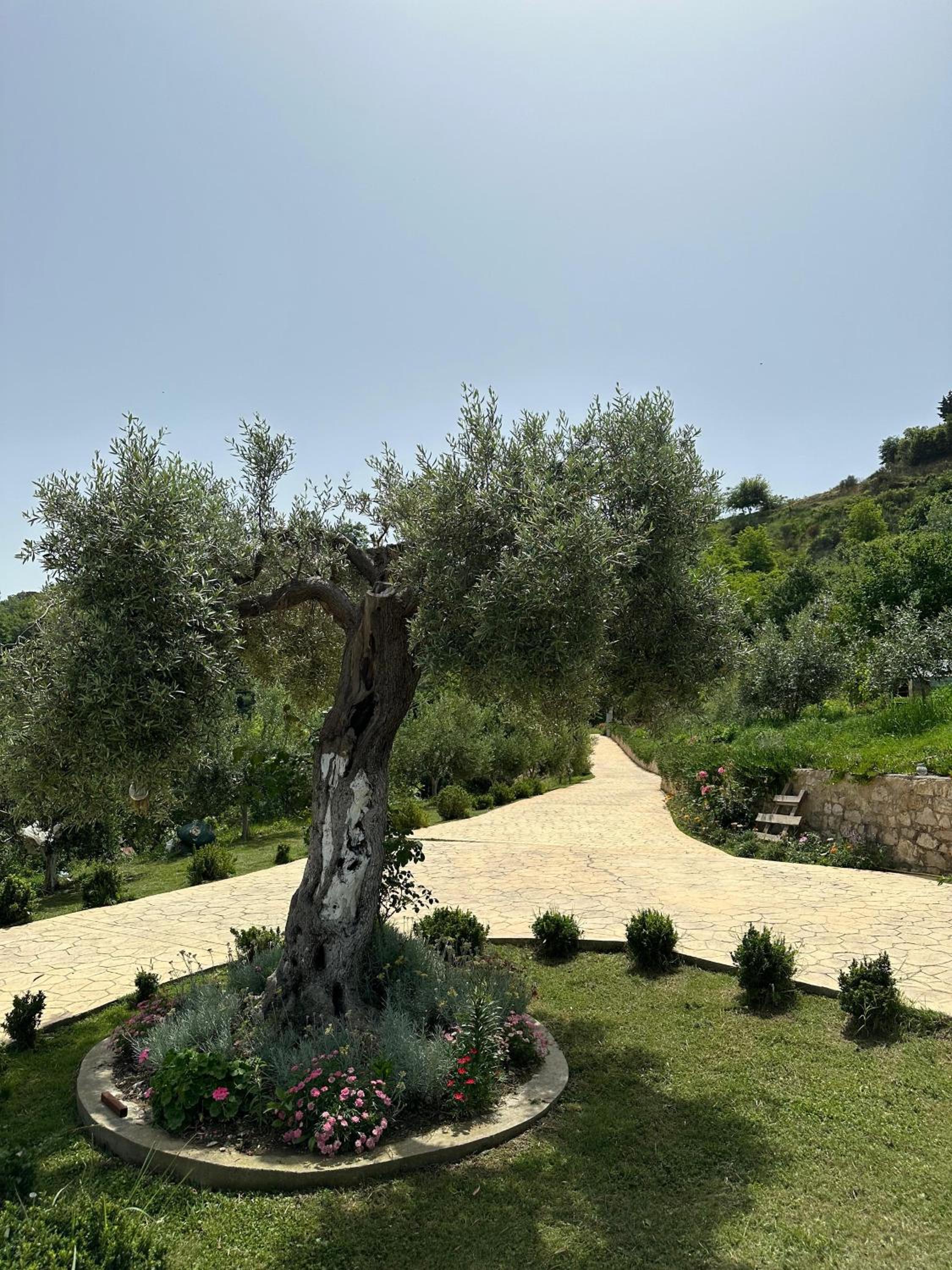 Rodon Blue Villa