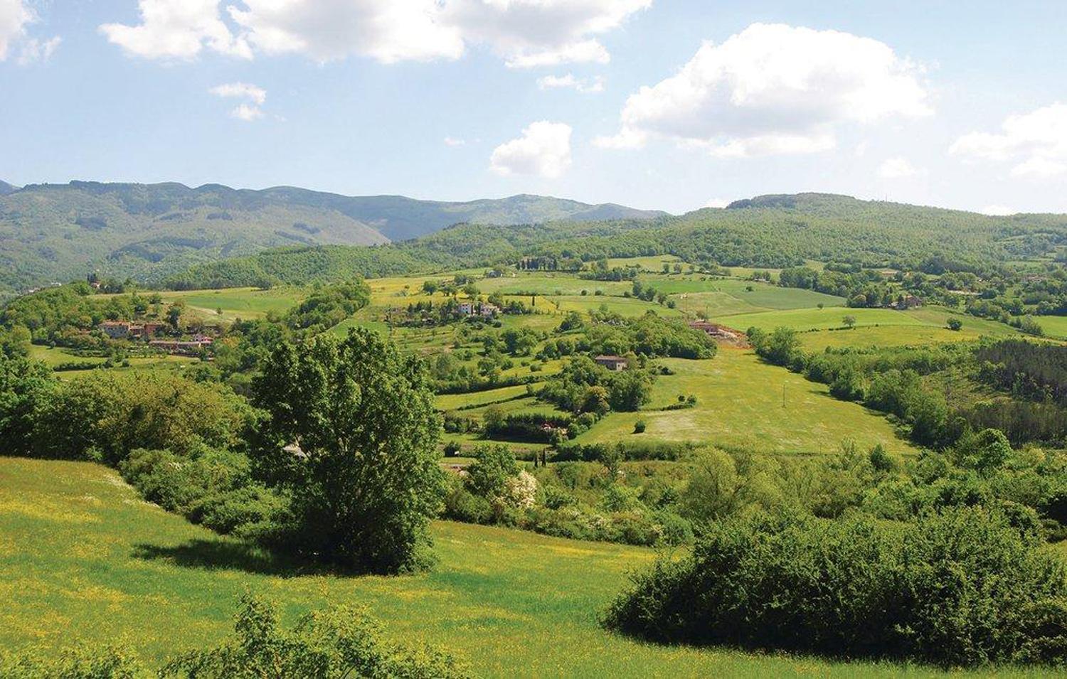 Baciola