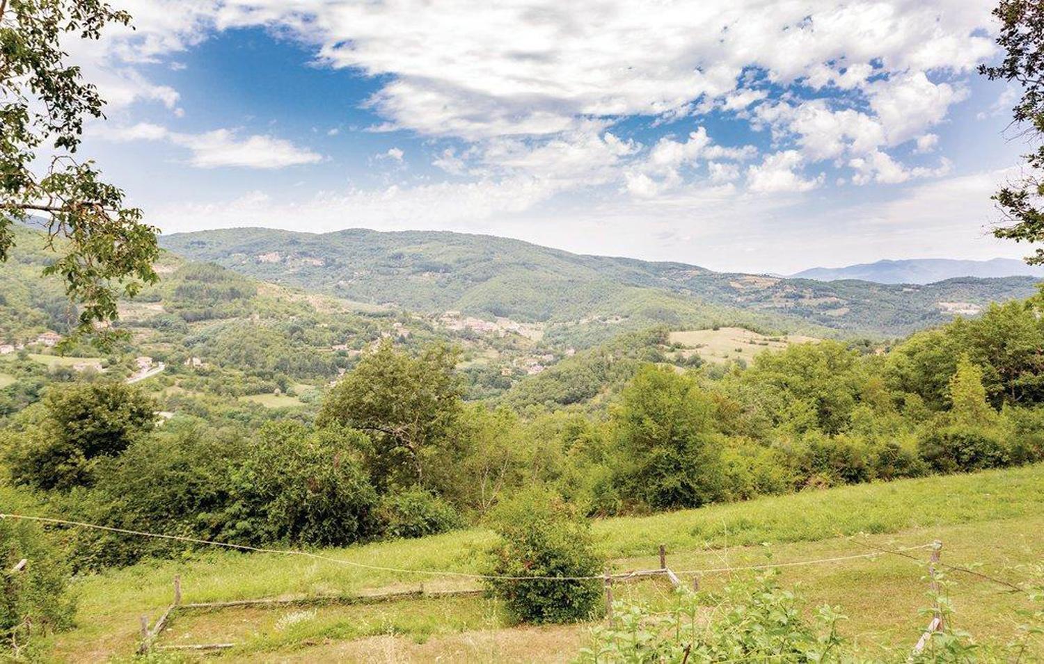 Baciola