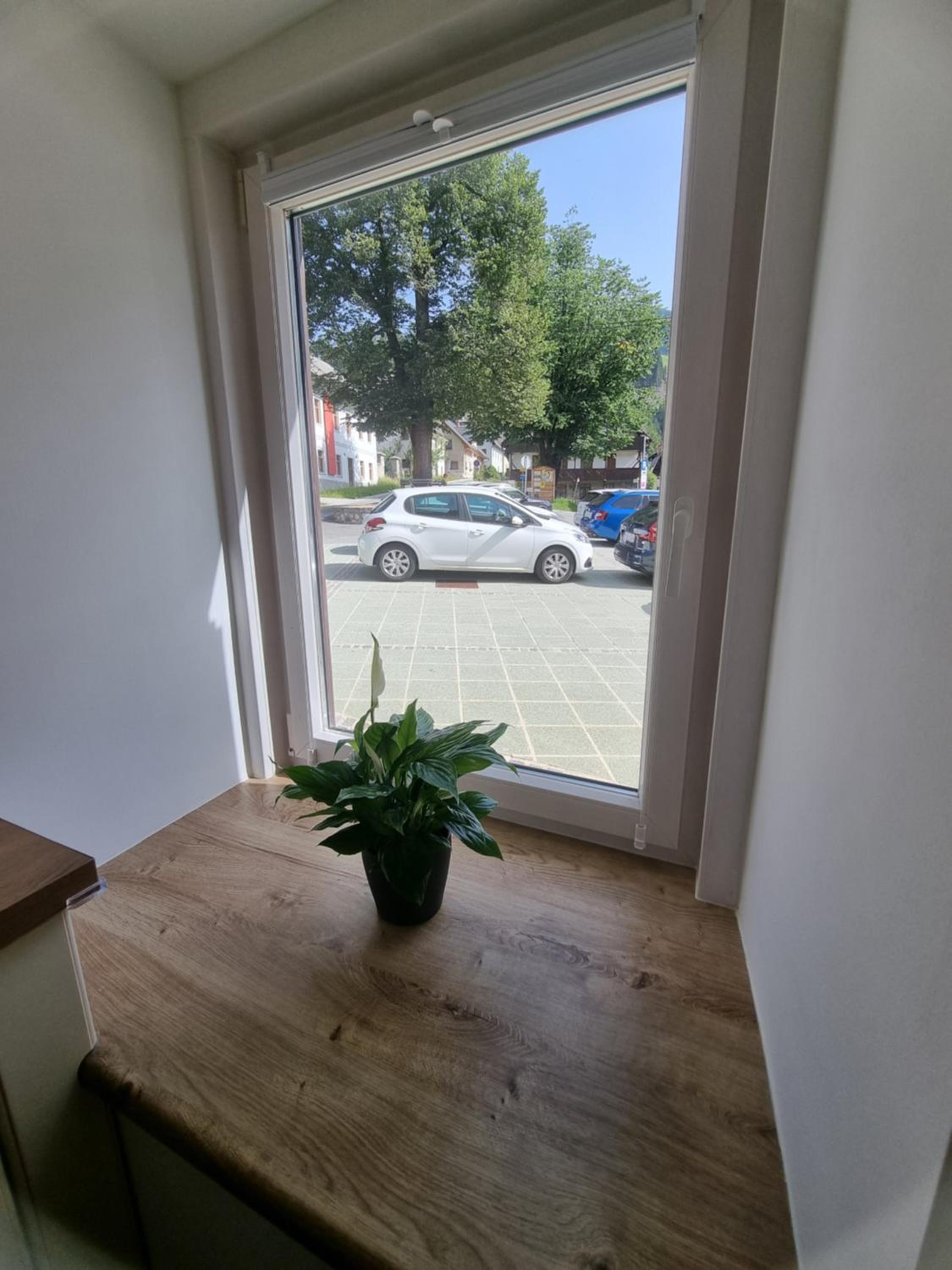 Apartment HANI