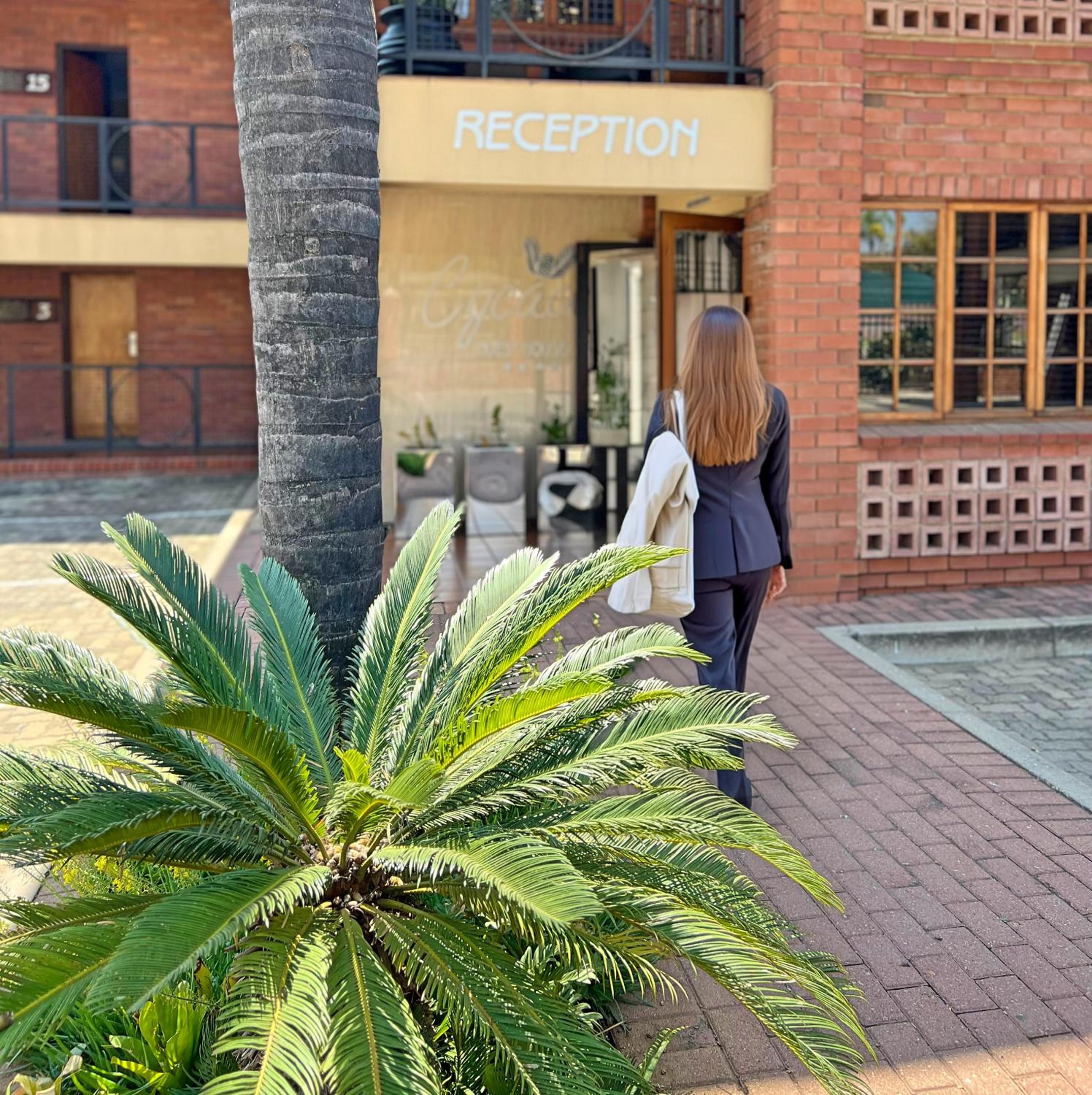 Cycad Guest House