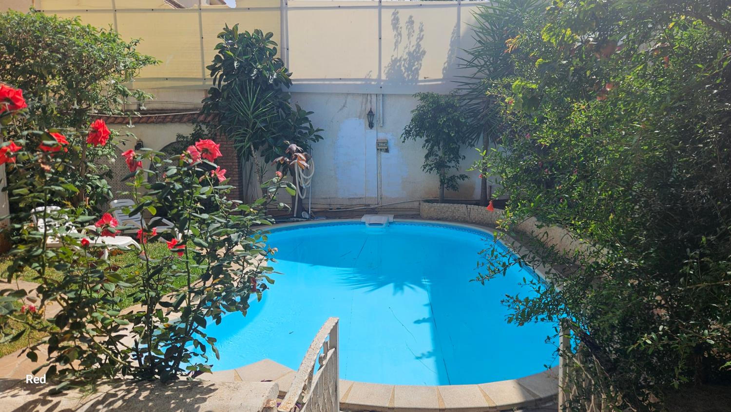 appartement T1 avec piscine Alger quartier calme