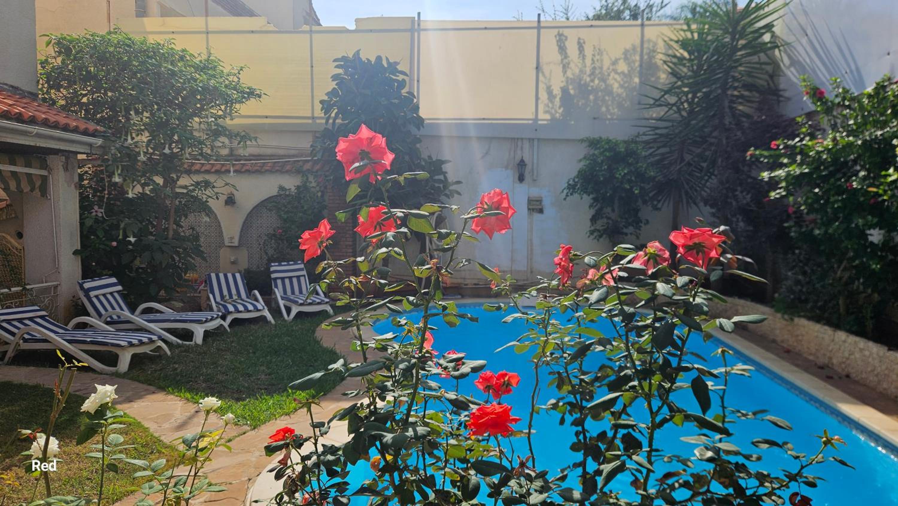 appartement T1 avec piscine Alger quartier calme