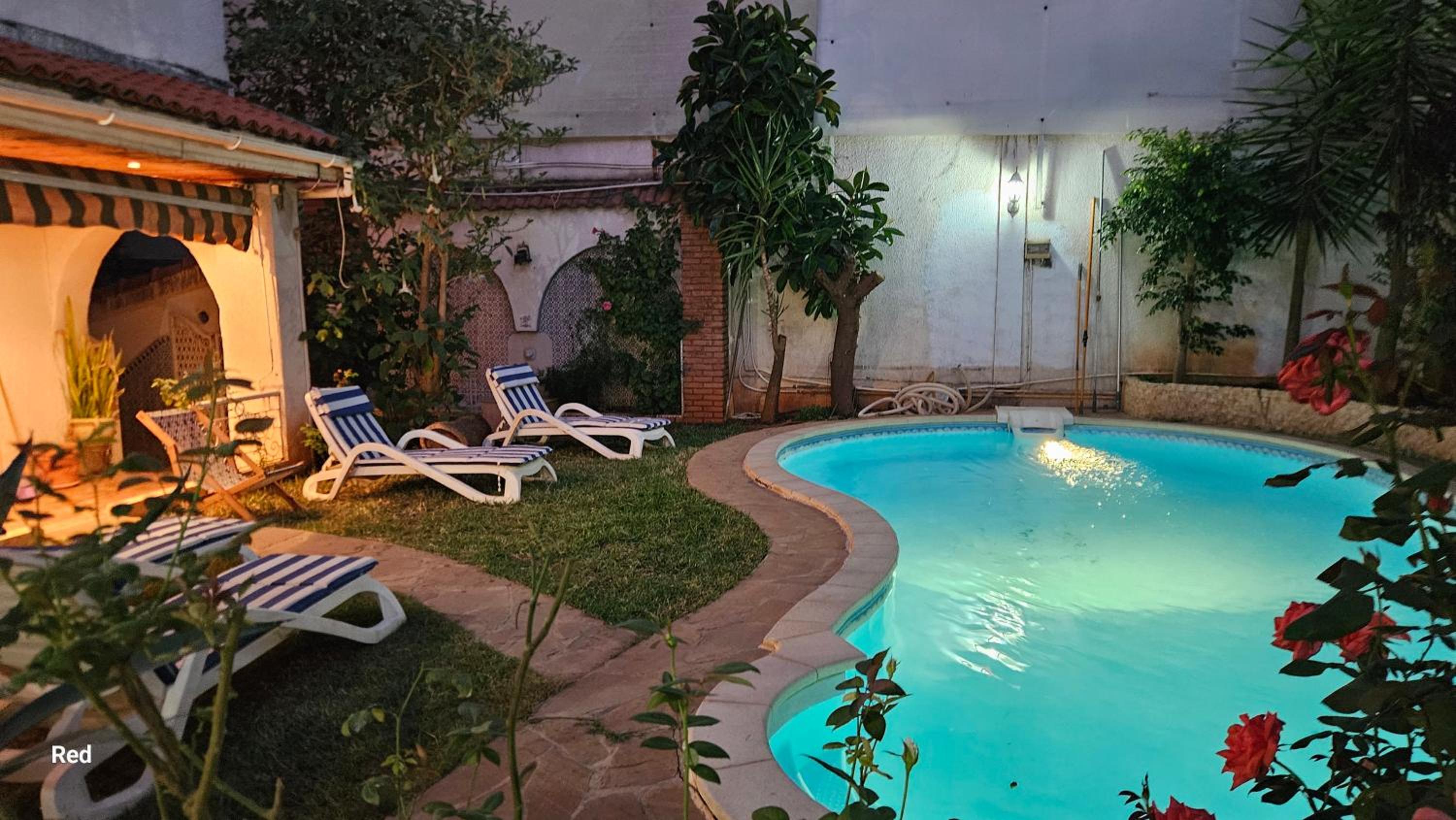 appartement T1 avec piscine Alger quartier calme