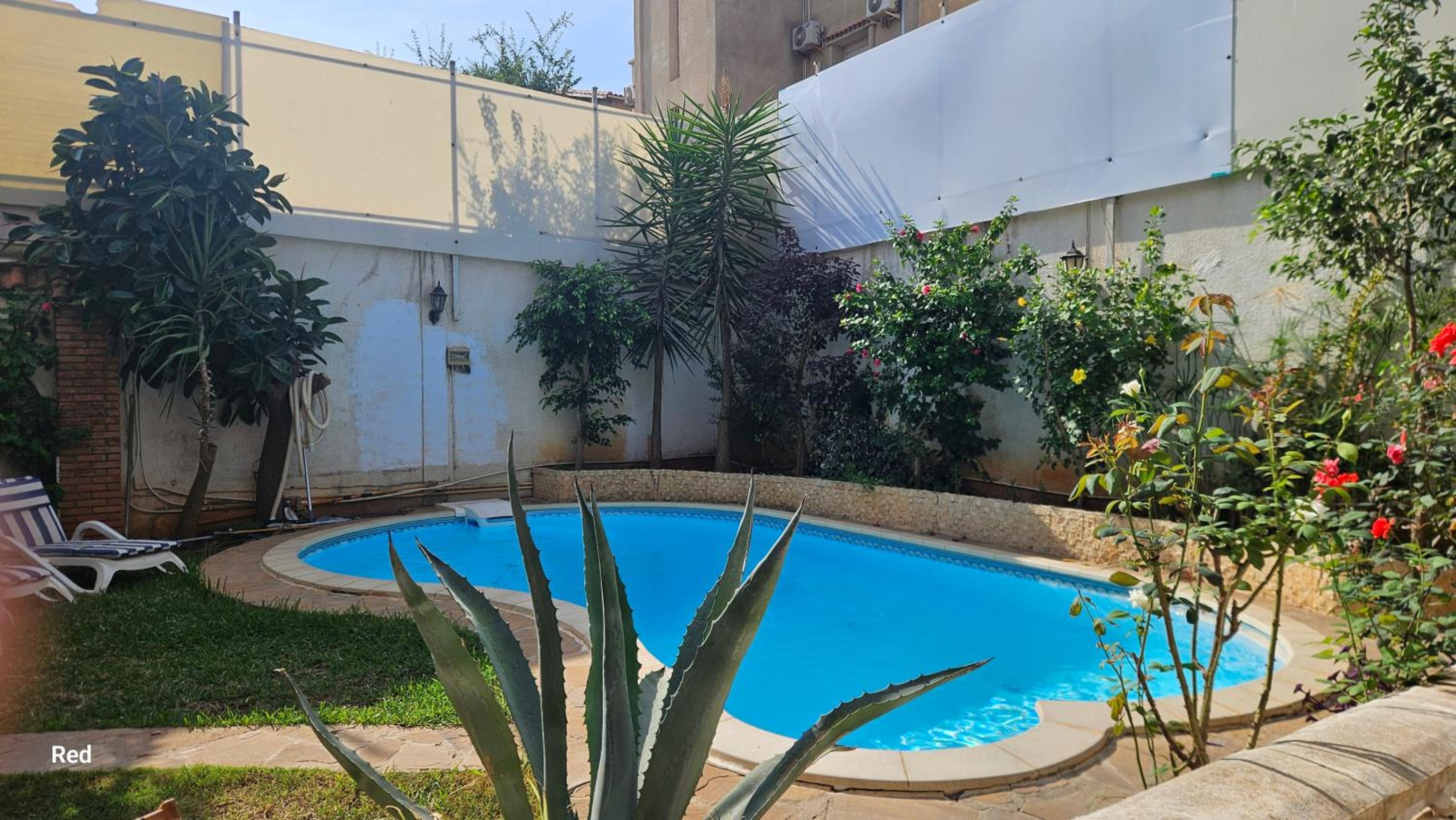 appartement T1 avec piscine Alger quartier calme