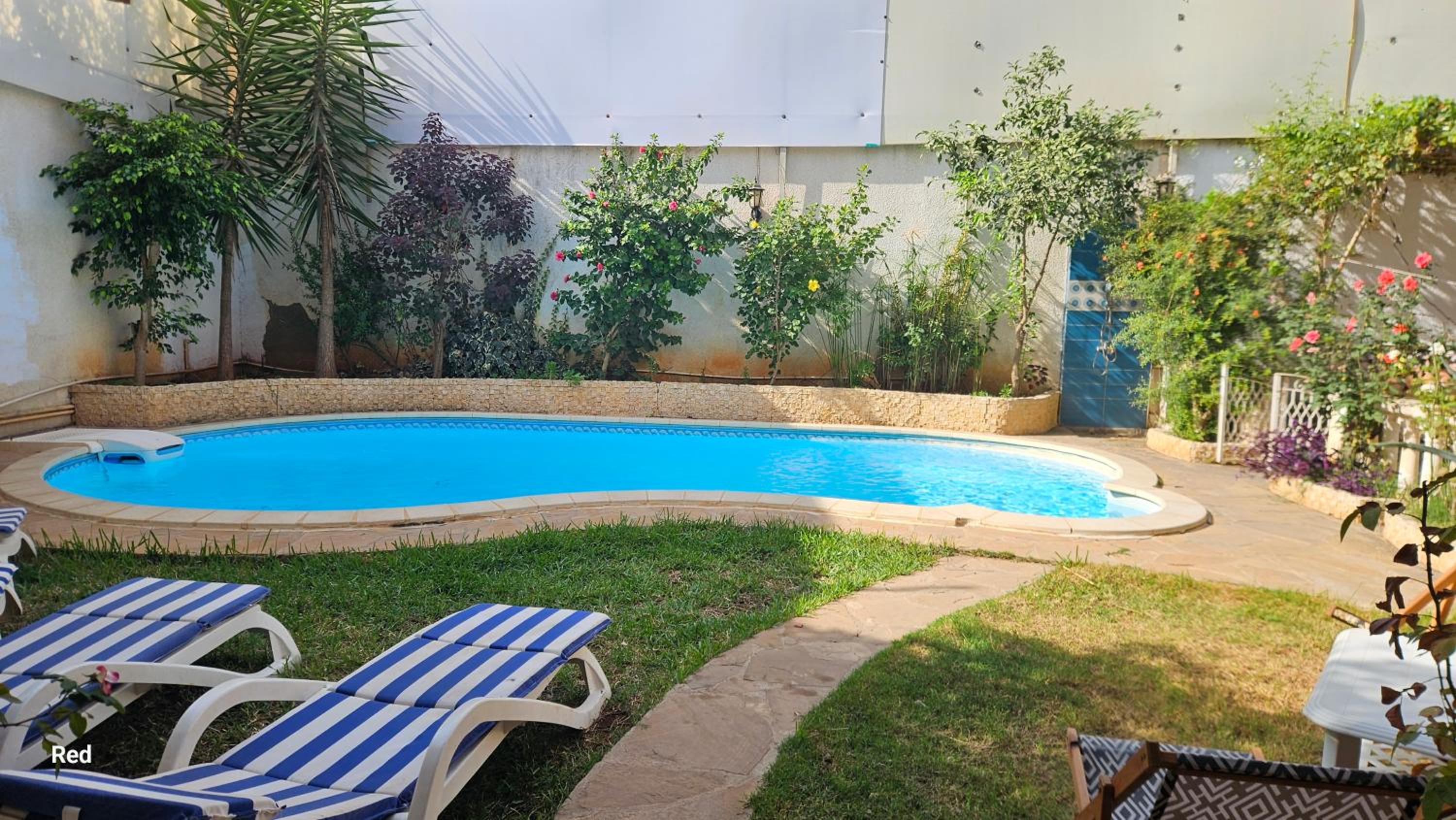 appartement T1 avec piscine Alger quartier calme