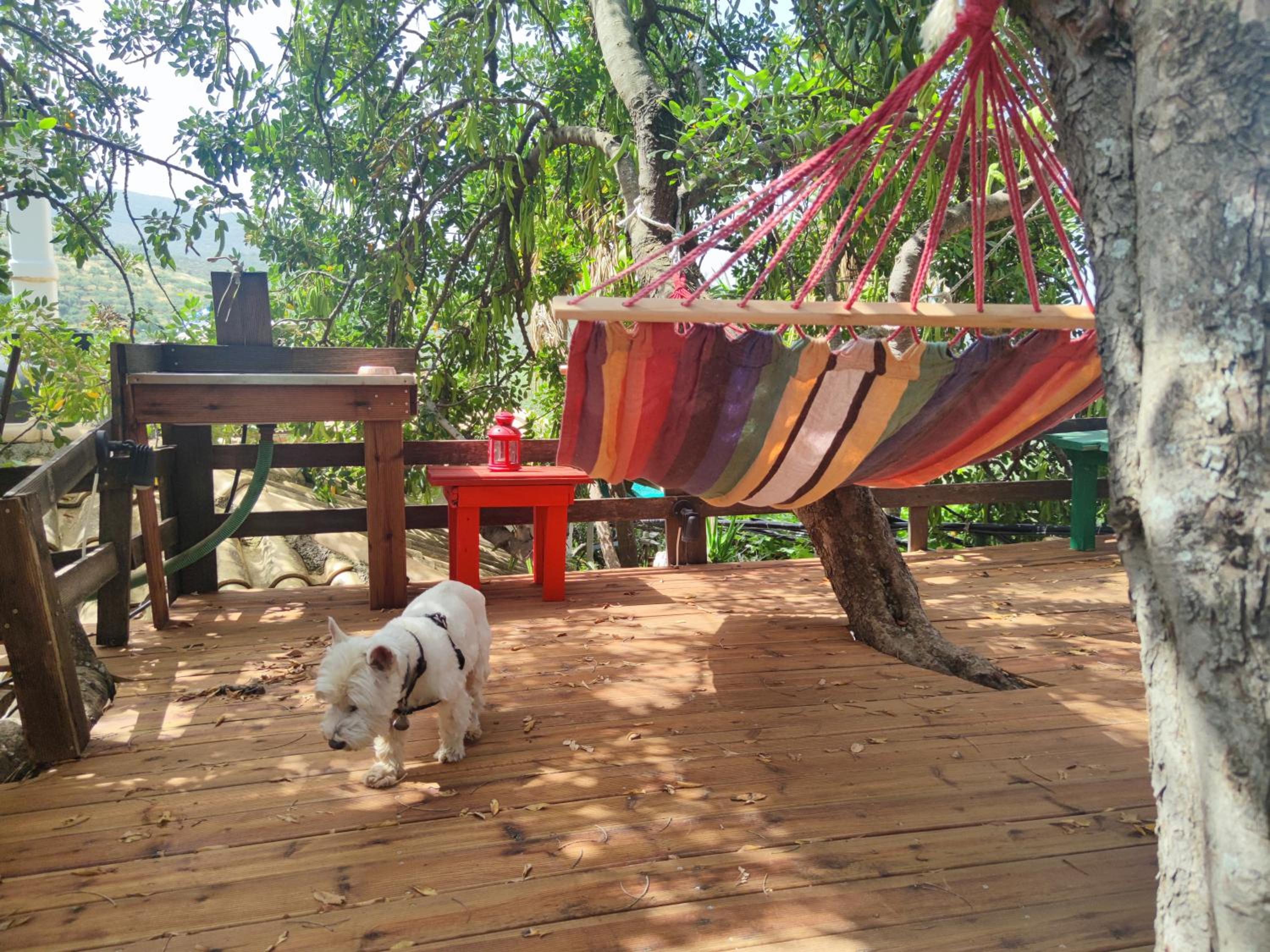 SOULIS GUESTHOUSE