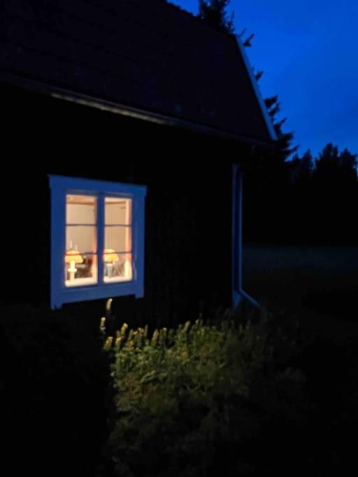 Schwedenhaus in Alleinlage view 4