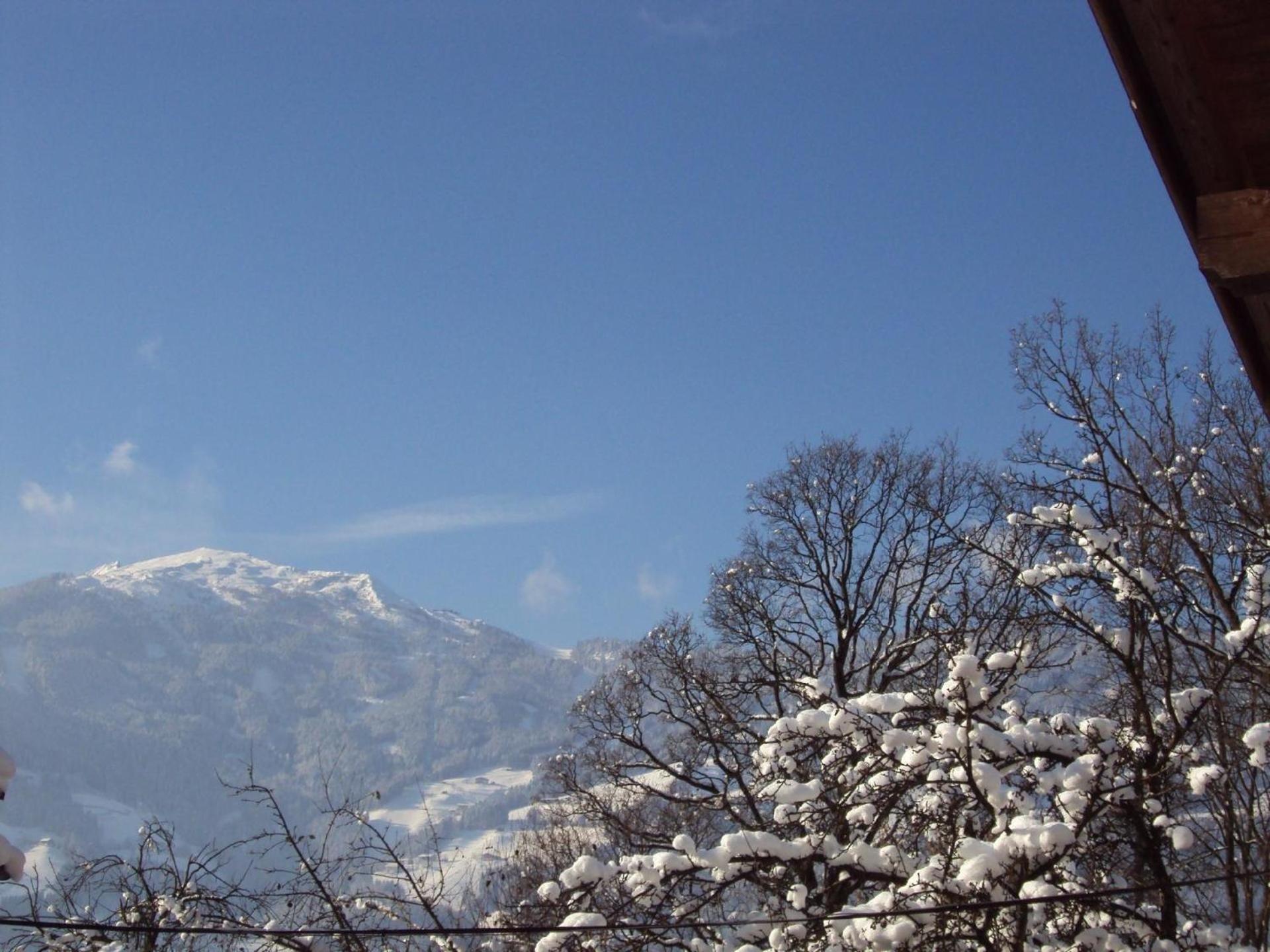 Haus Der Natur