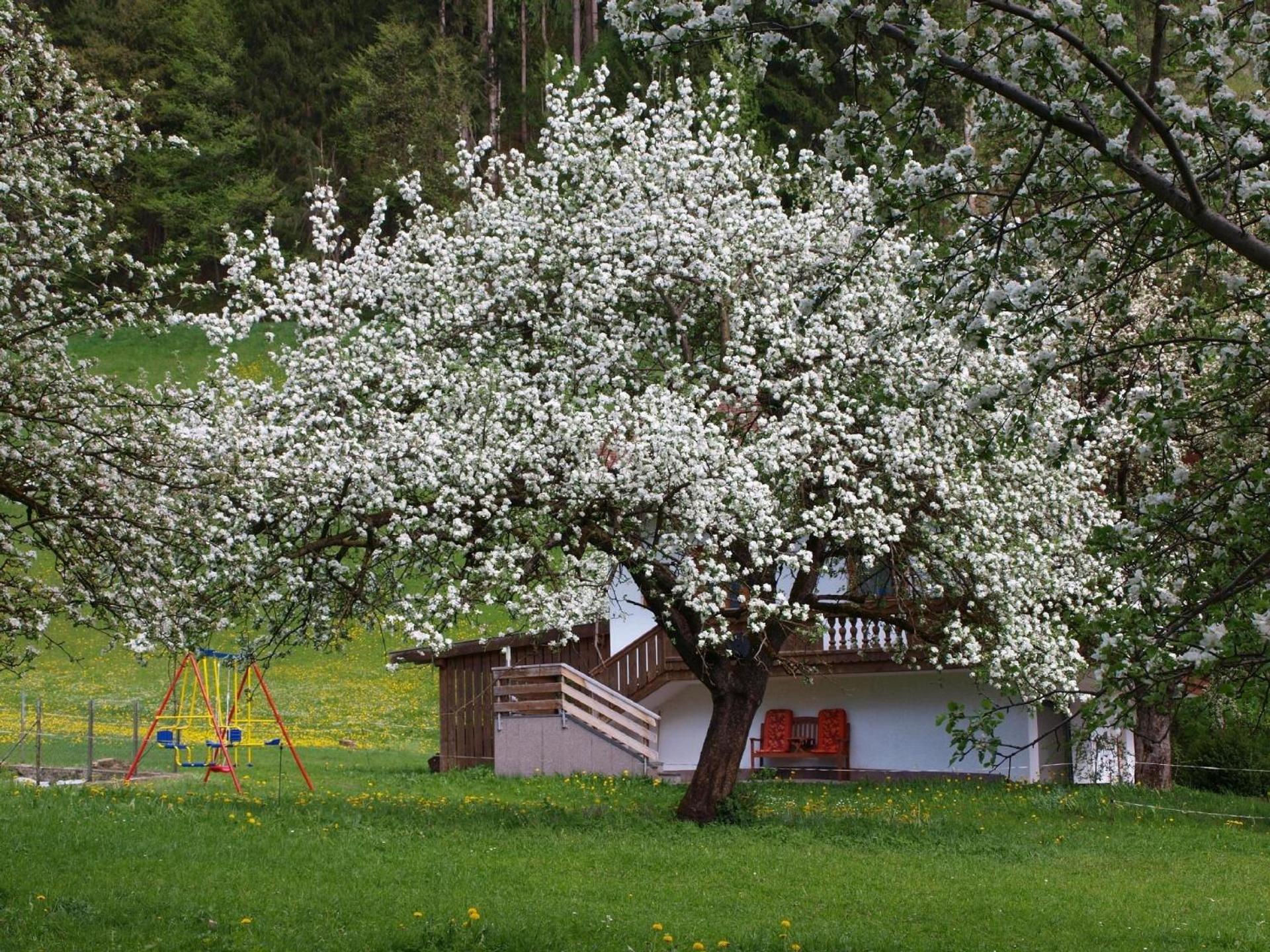 Haus Der Natur