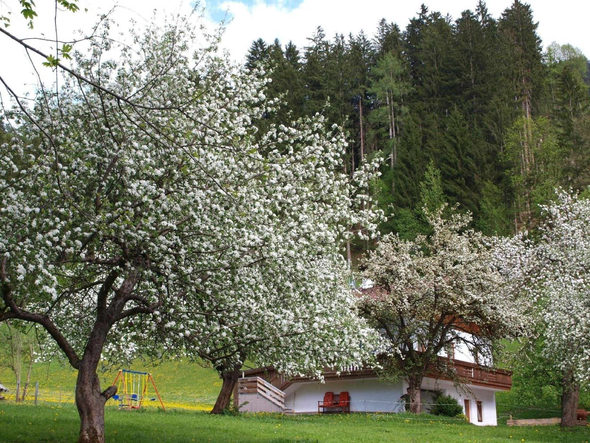 Haus Der Natur