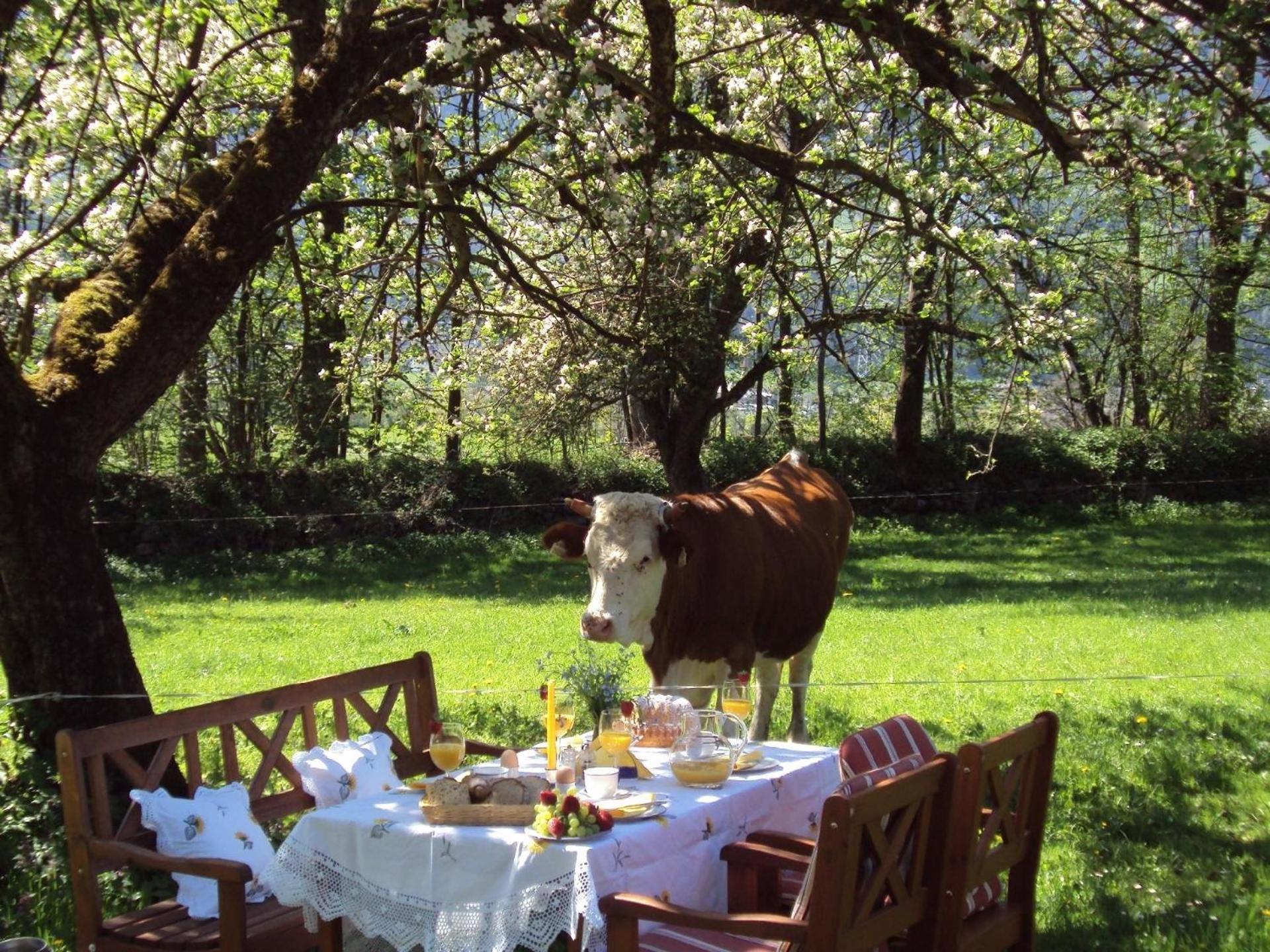Haus Der Natur