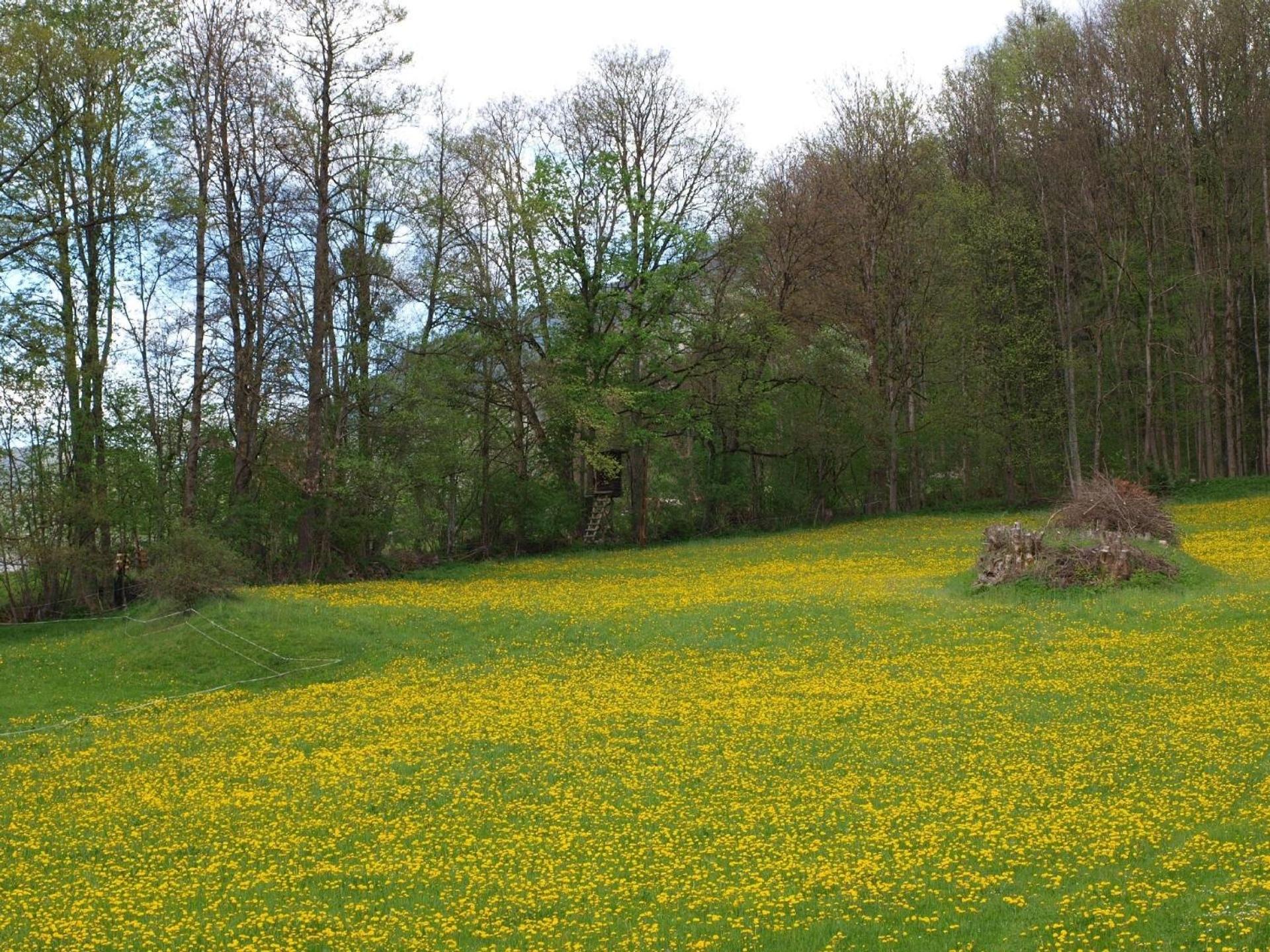 Haus Der Natur