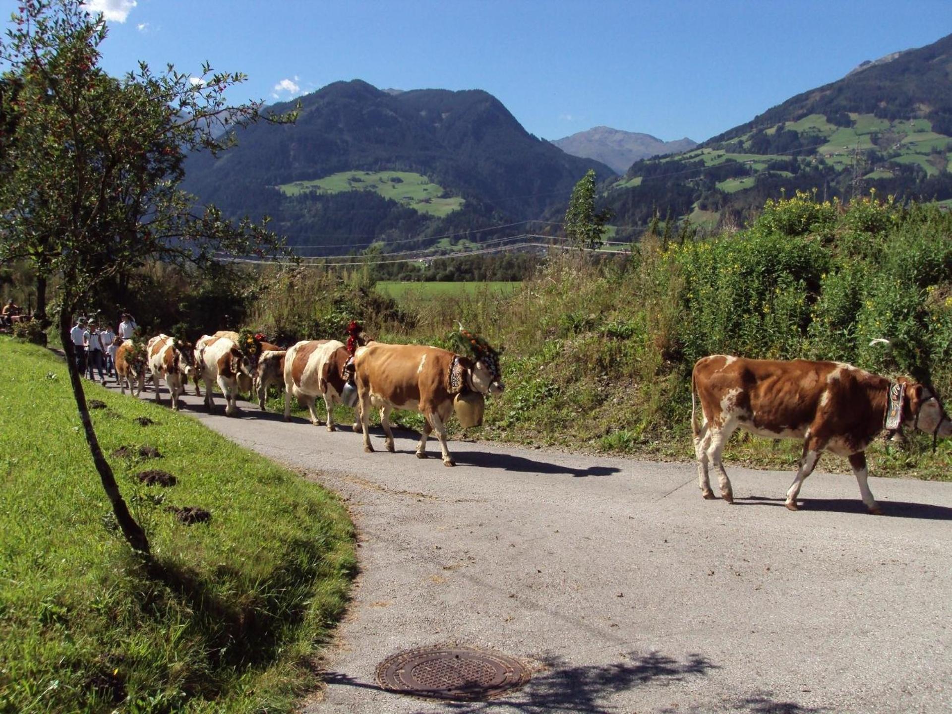 Haus Der Natur