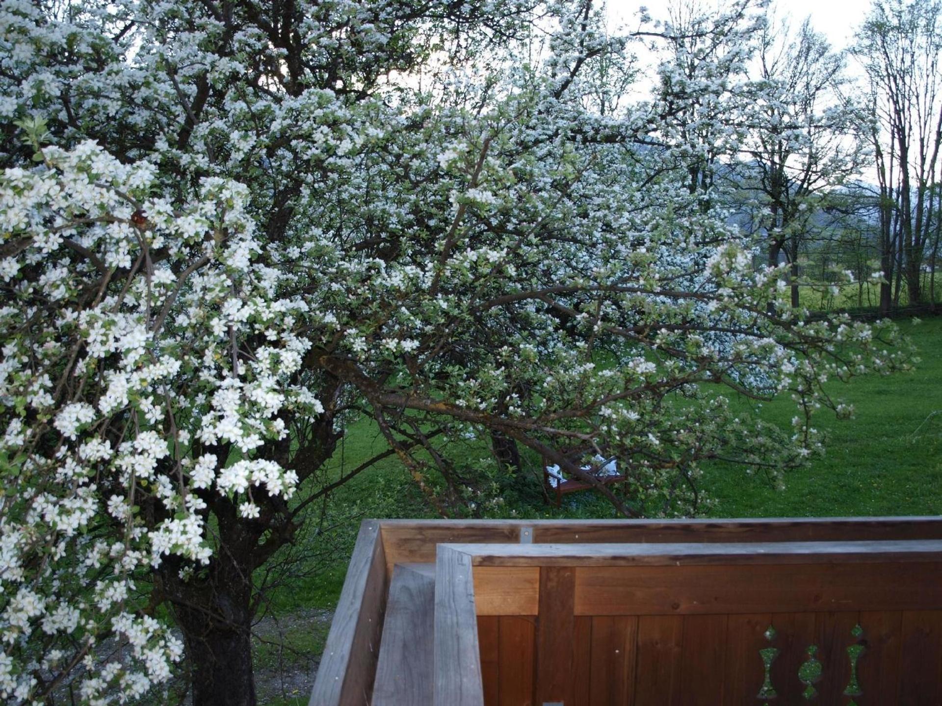 Haus Der Natur