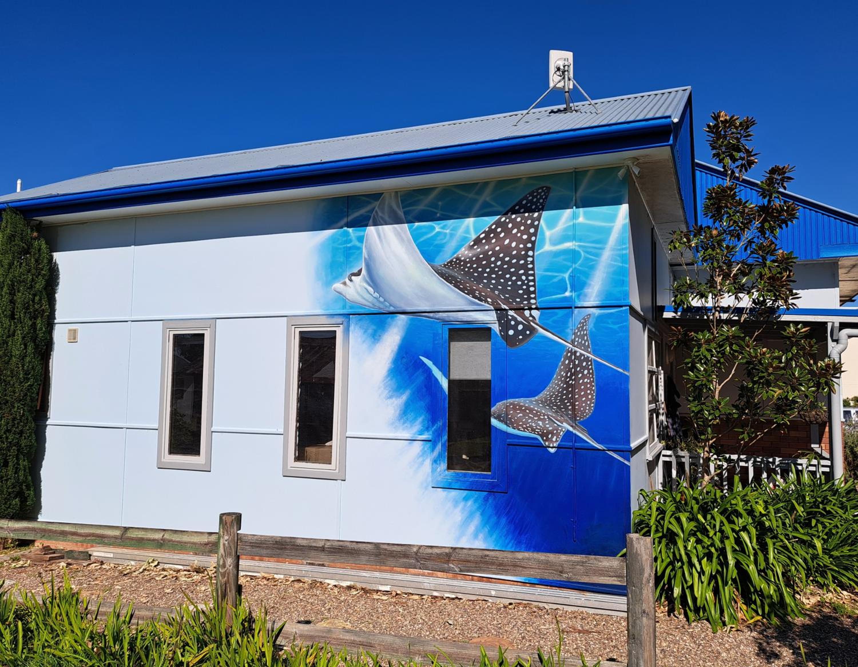 North Durras Beach Cottage