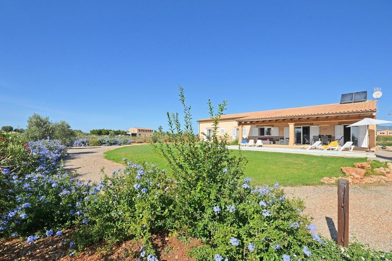 Ferienhaus mit Privatpool für 6 Personen ca 150 qm in Binissalem, Mallorca Binnenland von Mallorca view 2