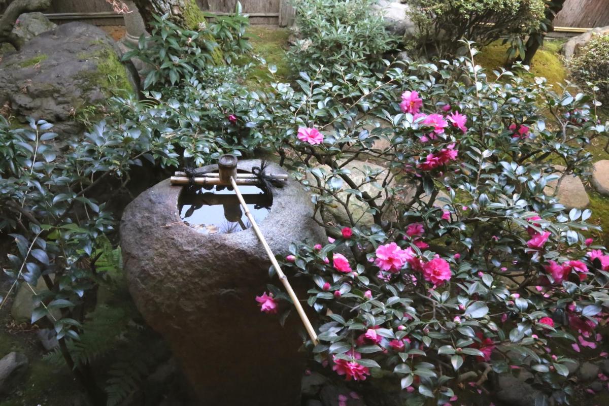 Show-an Machiya Inn view 3