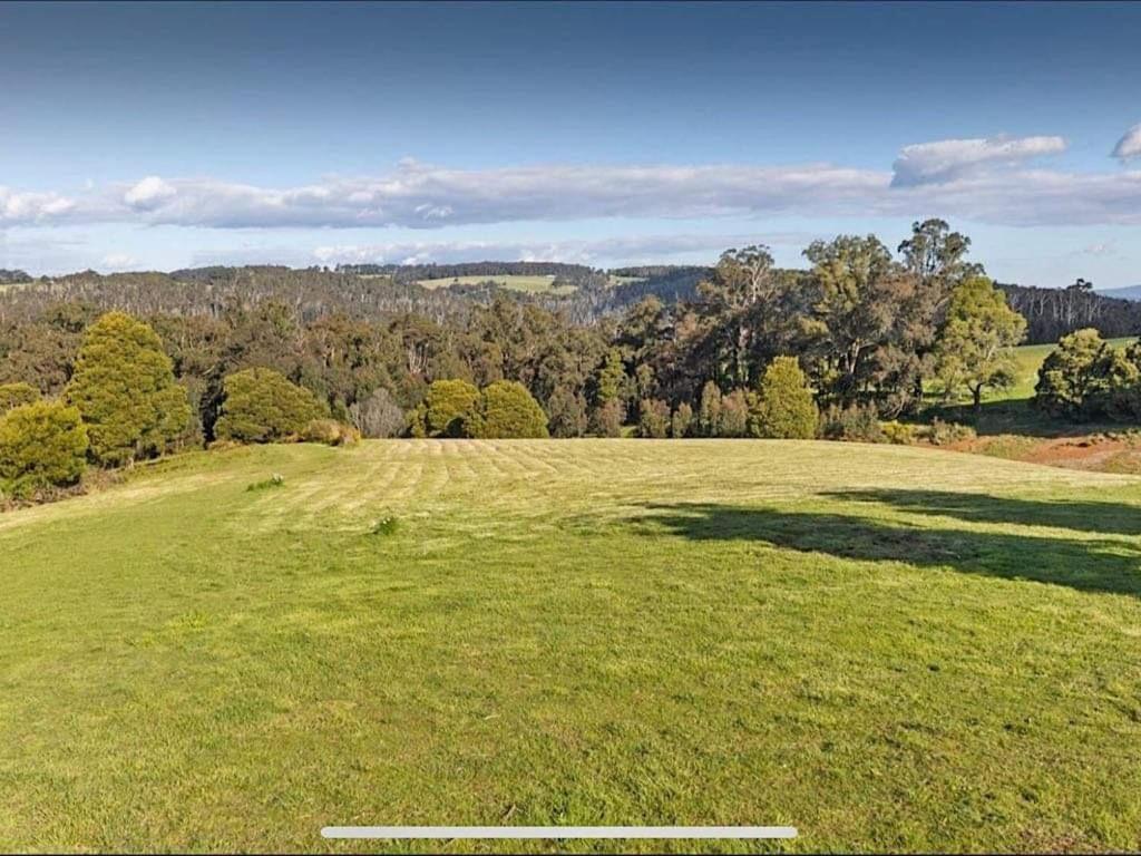 Kinglake National Park & Waterfalls