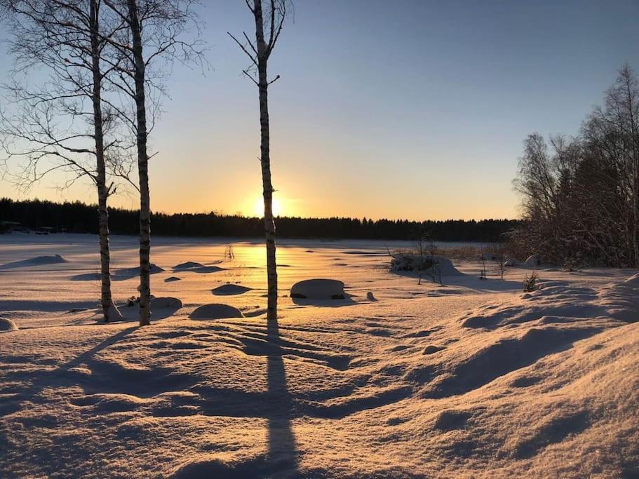 Modernia majoitusta luonnon keskellä