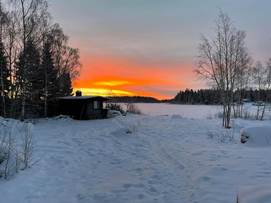 Modernia majoitusta luonnon keskellä