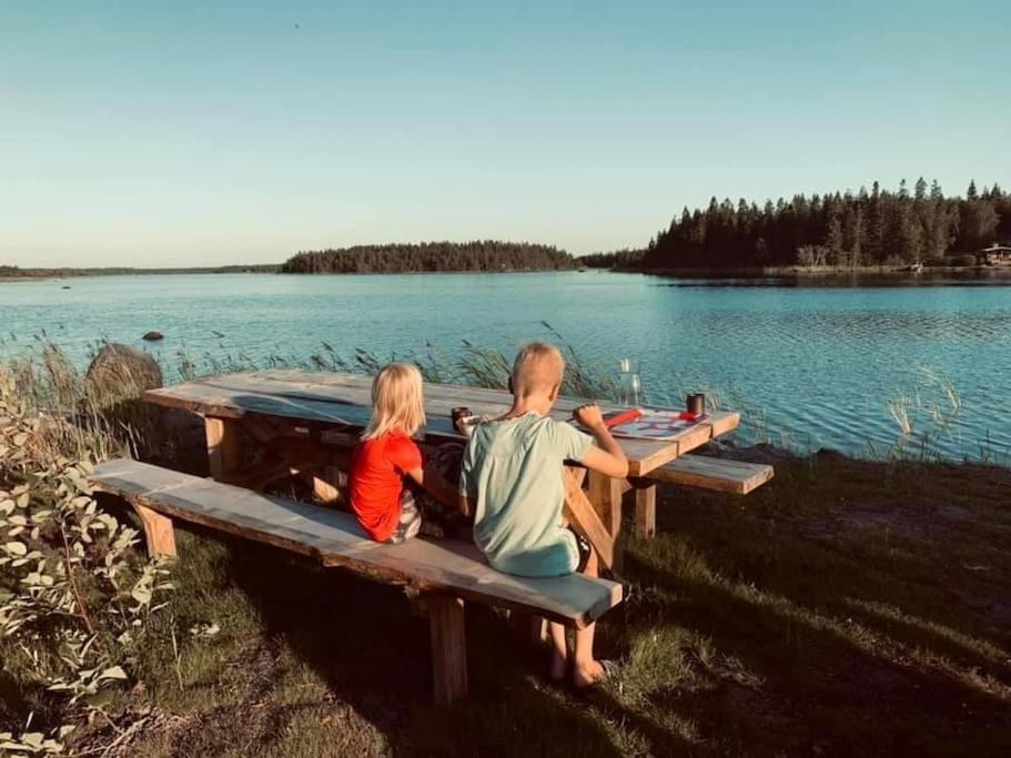 Modernia majoitusta luonnon keskellä