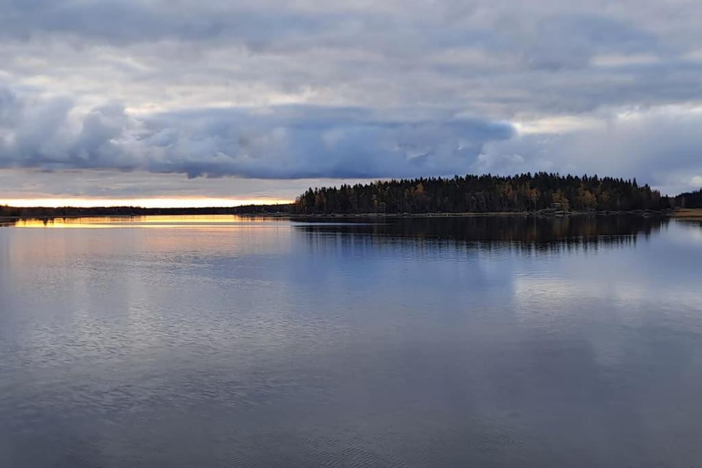 Modernia majoitusta luonnon keskellä