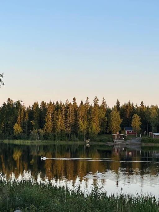 Modernia majoitusta luonnon keskellä