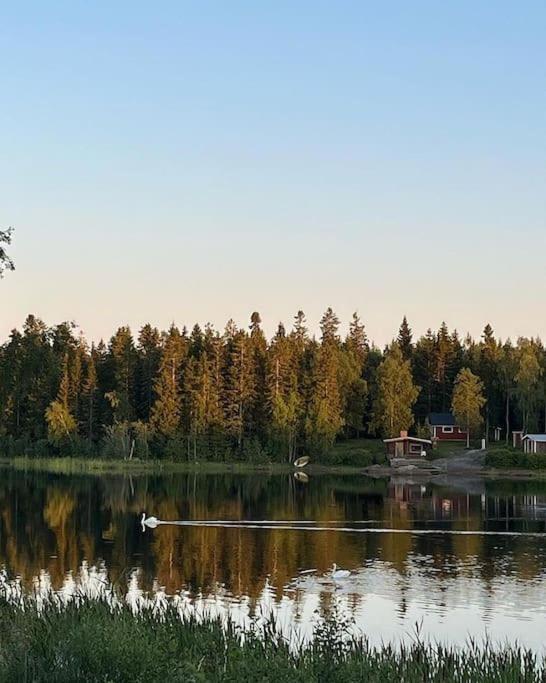 Modernia majoitusta luonnon keskellä