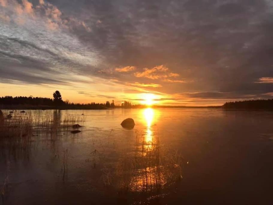 Modernia majoitusta luonnon keskellä