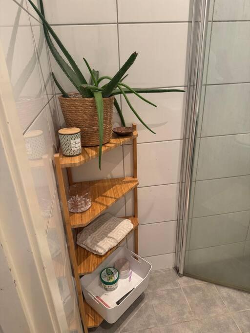 Super apartment in heart of Oslo
